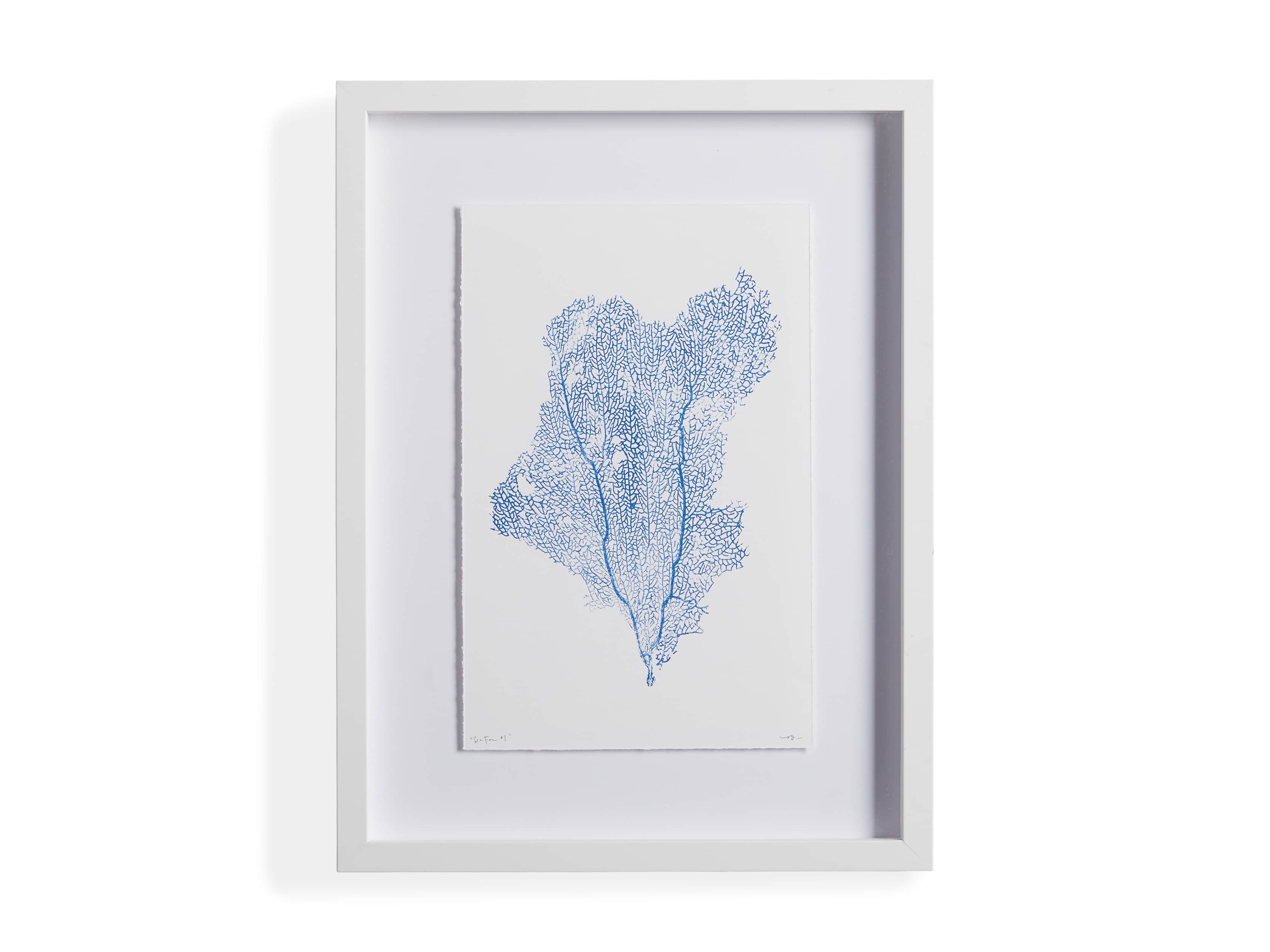 Blue Sea Fan I Print, slide 4 of 4