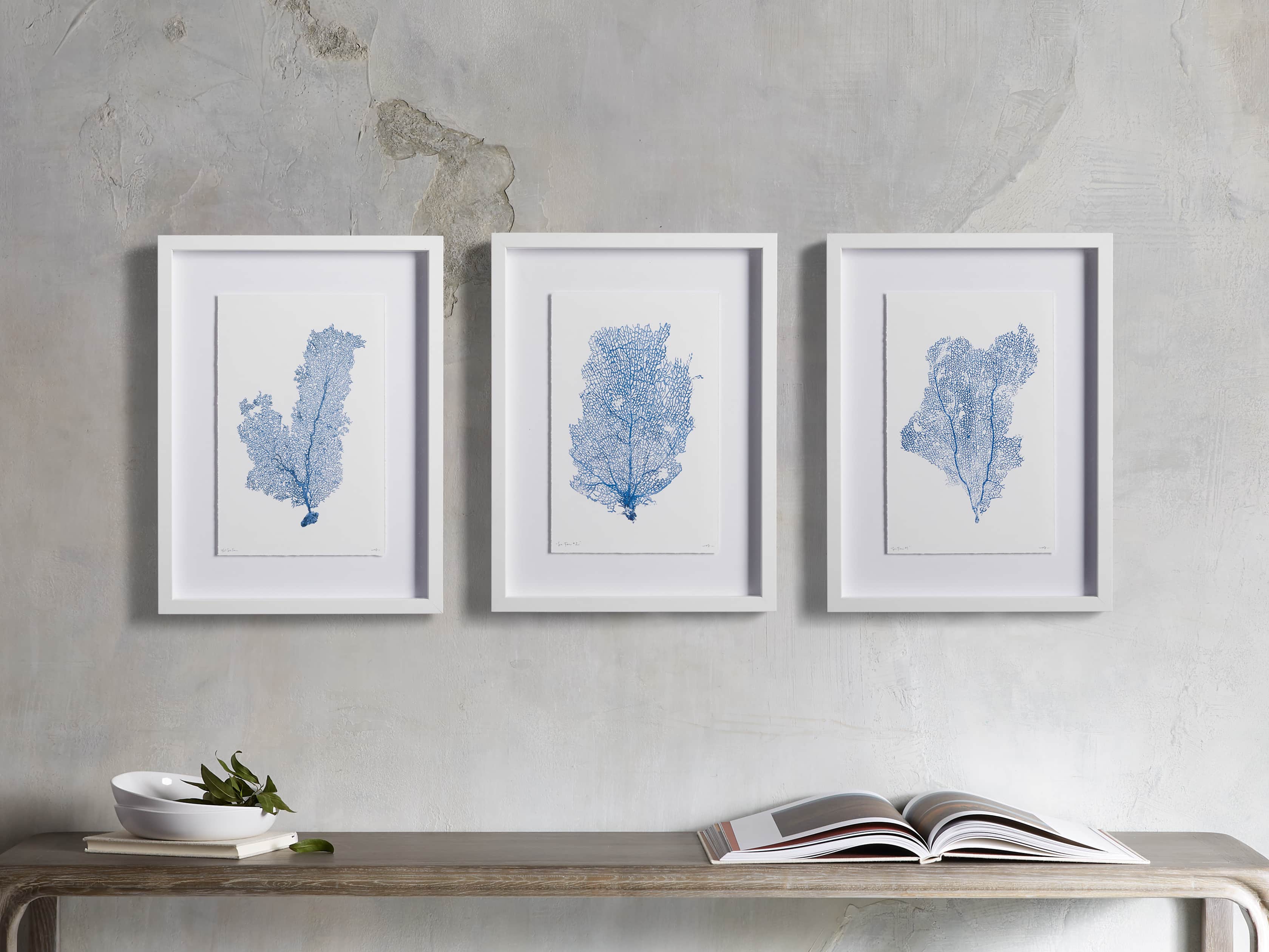 Blue Sea Fan II Print, slide 3 of 4