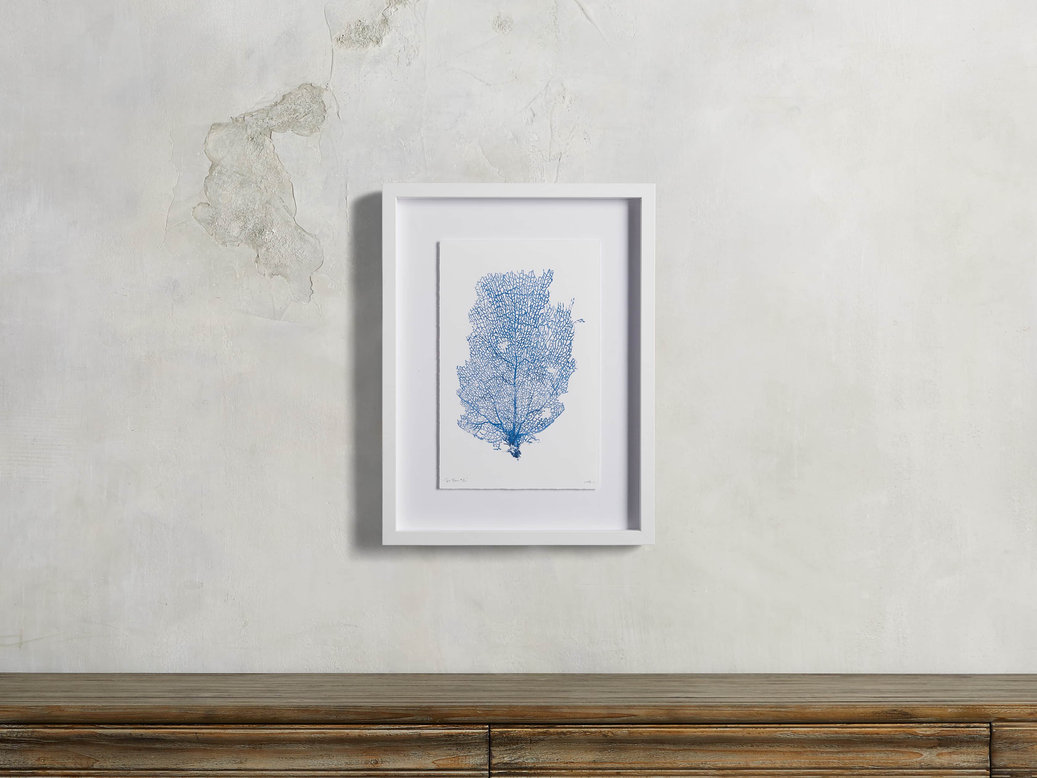 Blue Sea Fan II Print, slide 1 of 4
