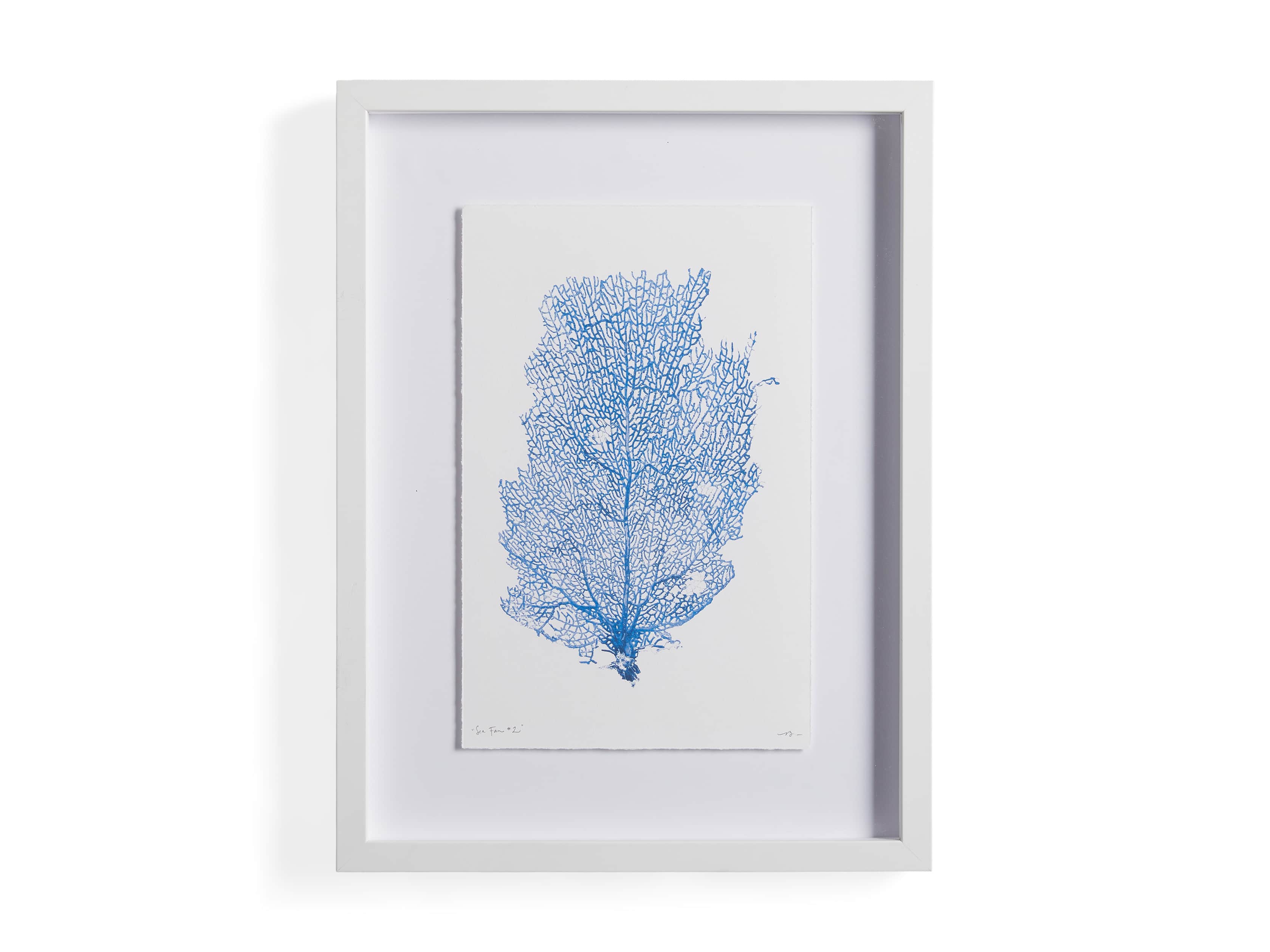 Blue Sea Fan II Print, slide 4 of 4