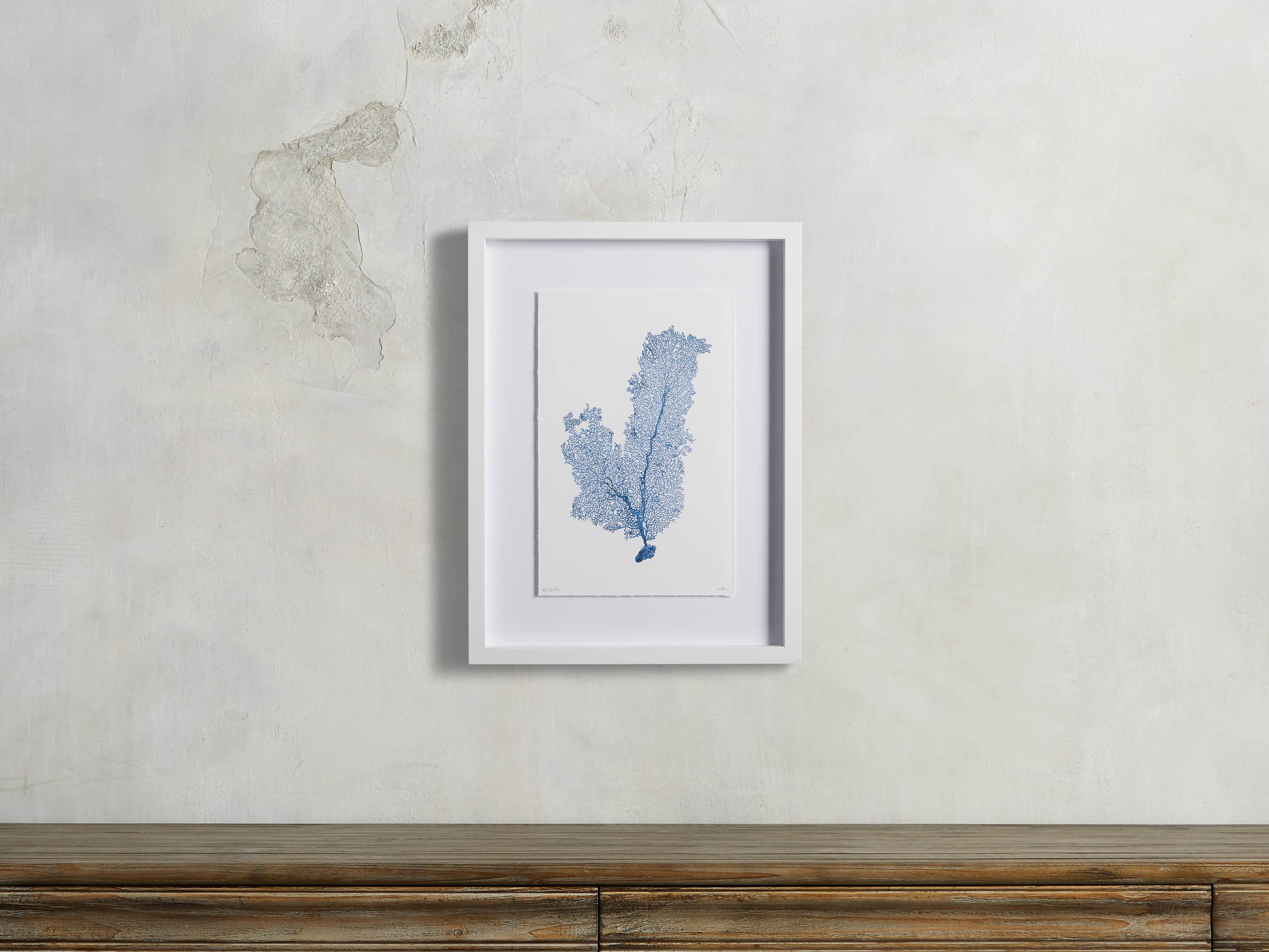 Blue Sea Fan III Print, slide 1 of 4