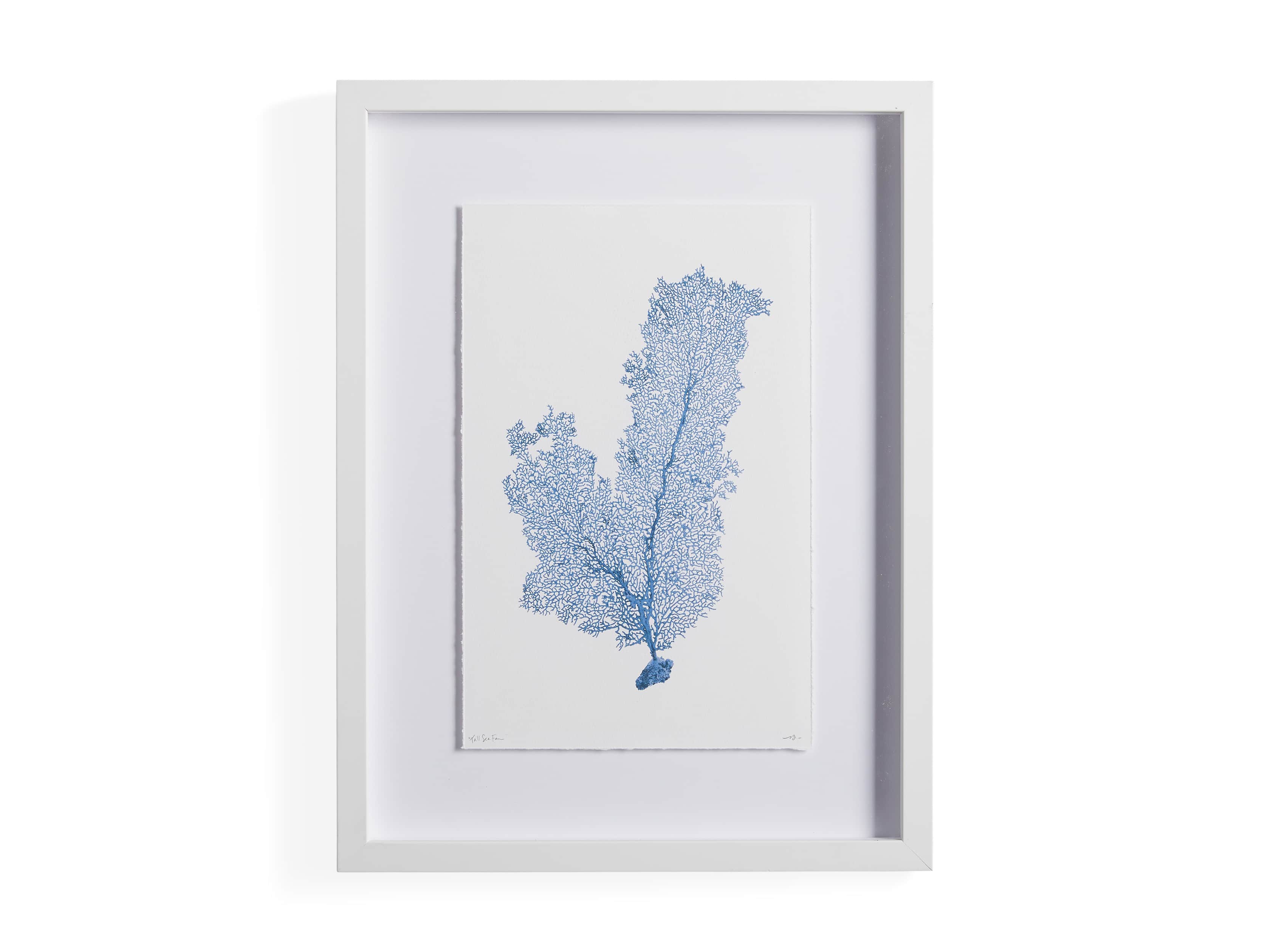 Blue Sea Fan III Print, slide 4 of 4