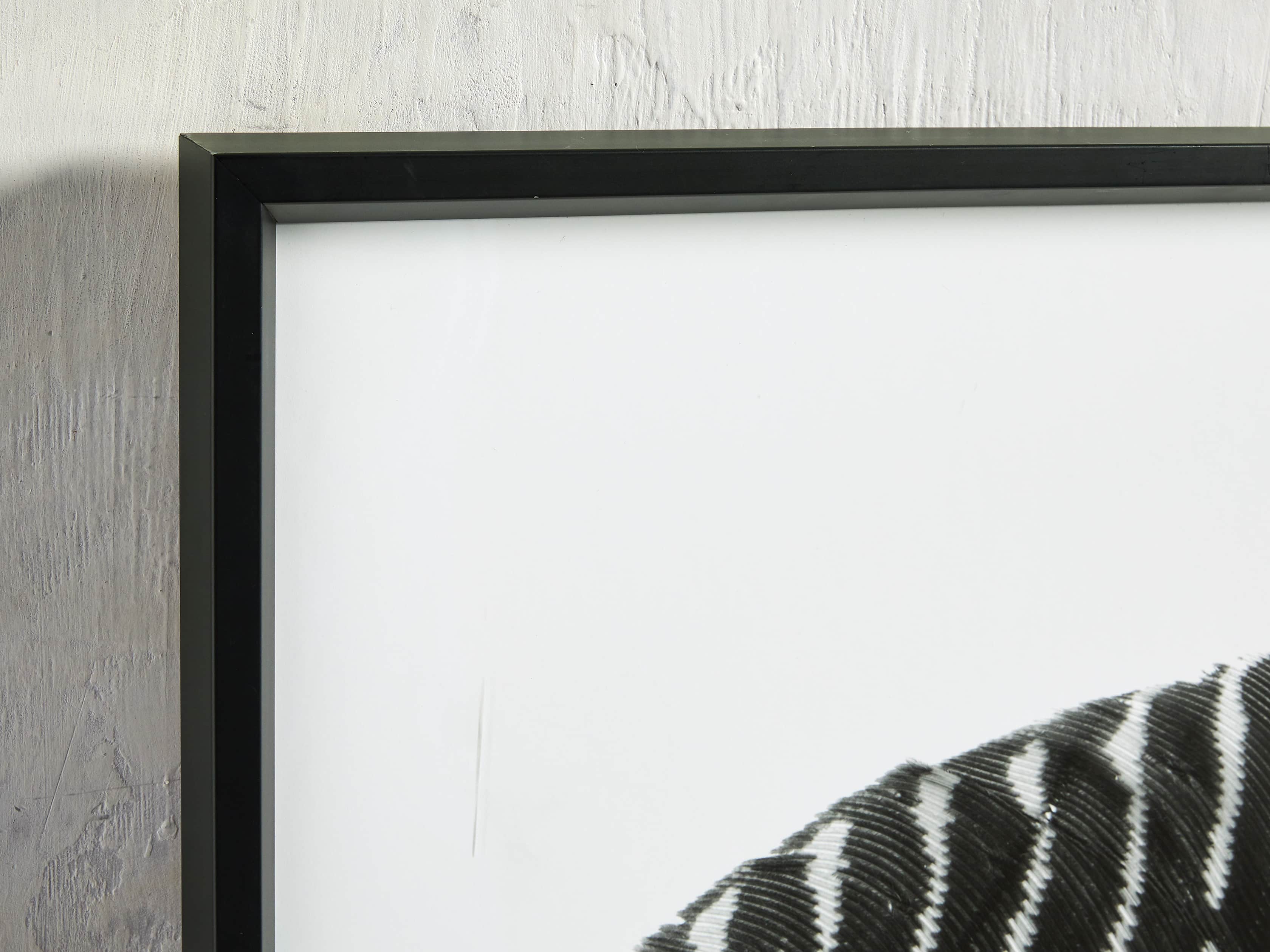 Pheasant Feather Triptych Framed Print, slide 5 of 11