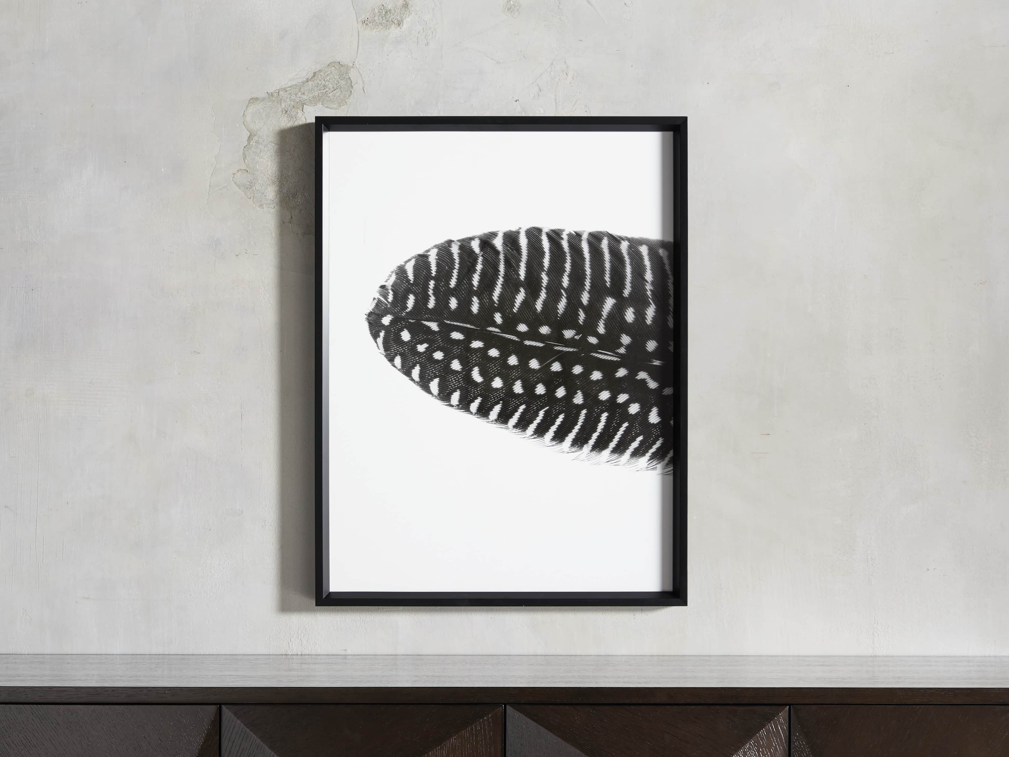 Pheasant Feather Triptych Framed Print, slide 2 of 11