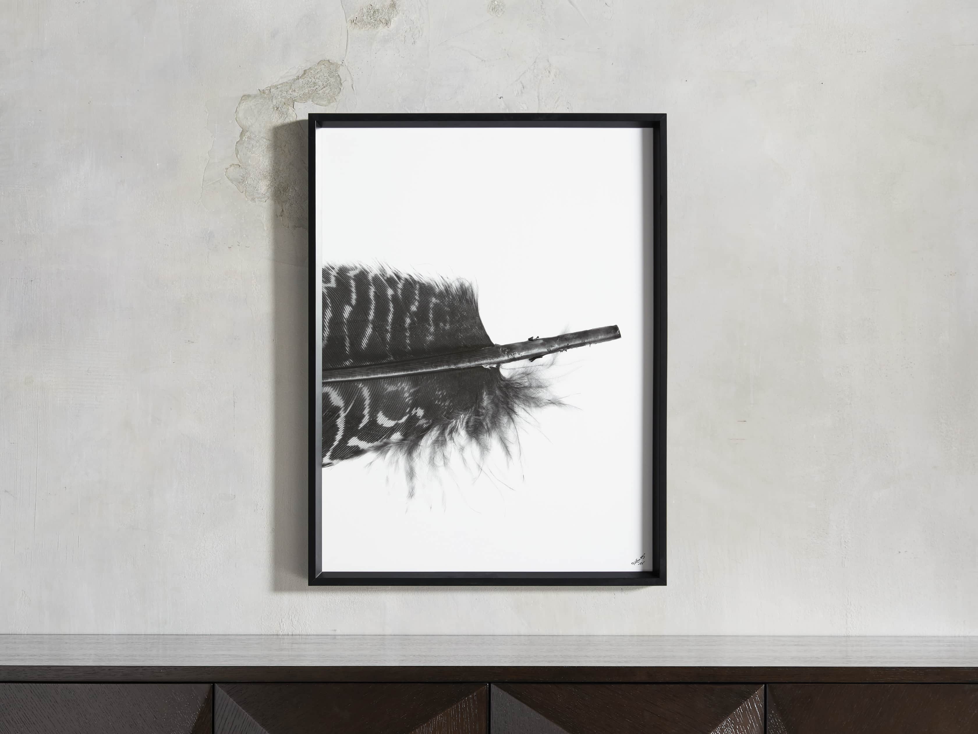 Pheasant Feather Triptych Framed Print, slide 4 of 11
