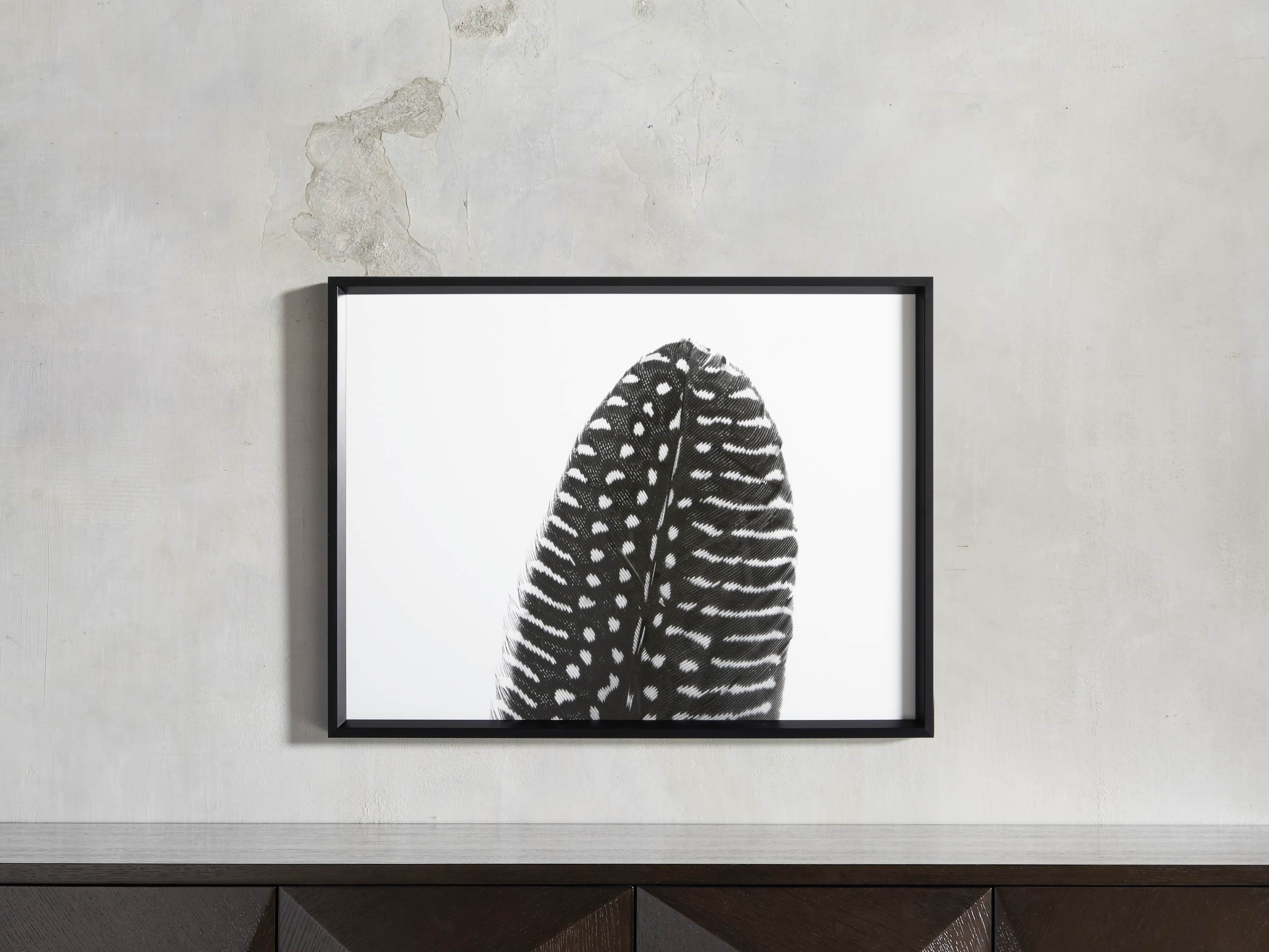 Pheasant Feather Triptych Framed Print, slide 8 of 11