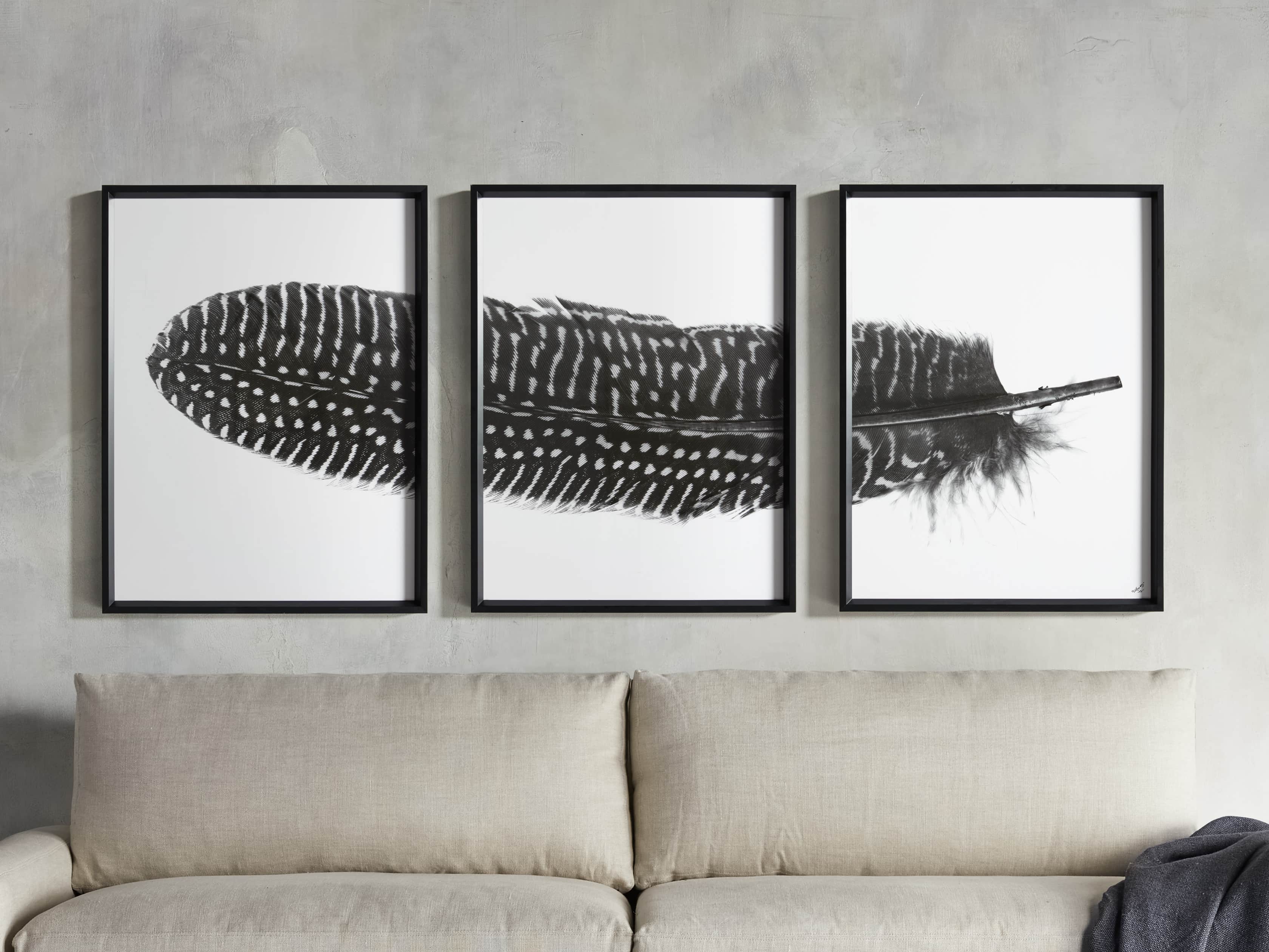 Pheasant Feather Triptych Framed Print, slide 1 of 11