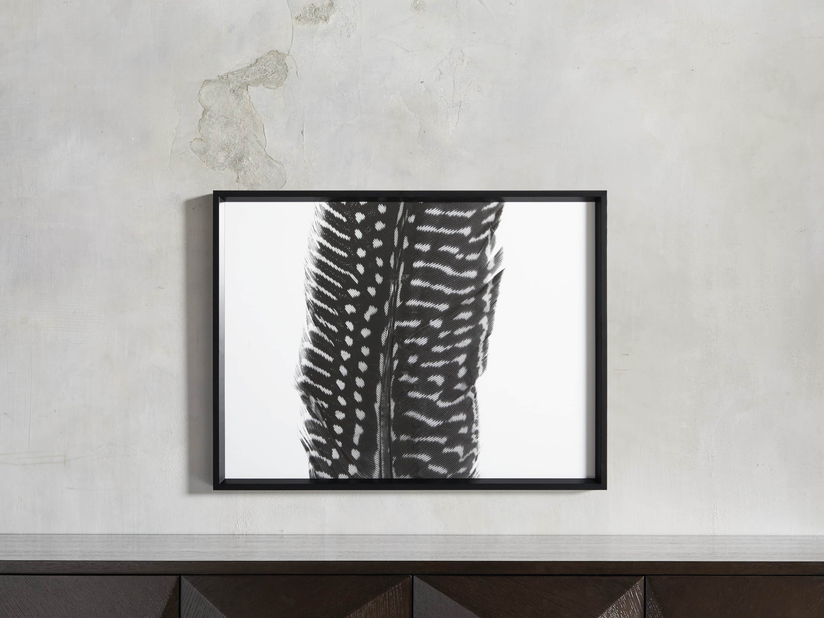 Pheasant Feather Triptych Framed Print, slide 9 of 11