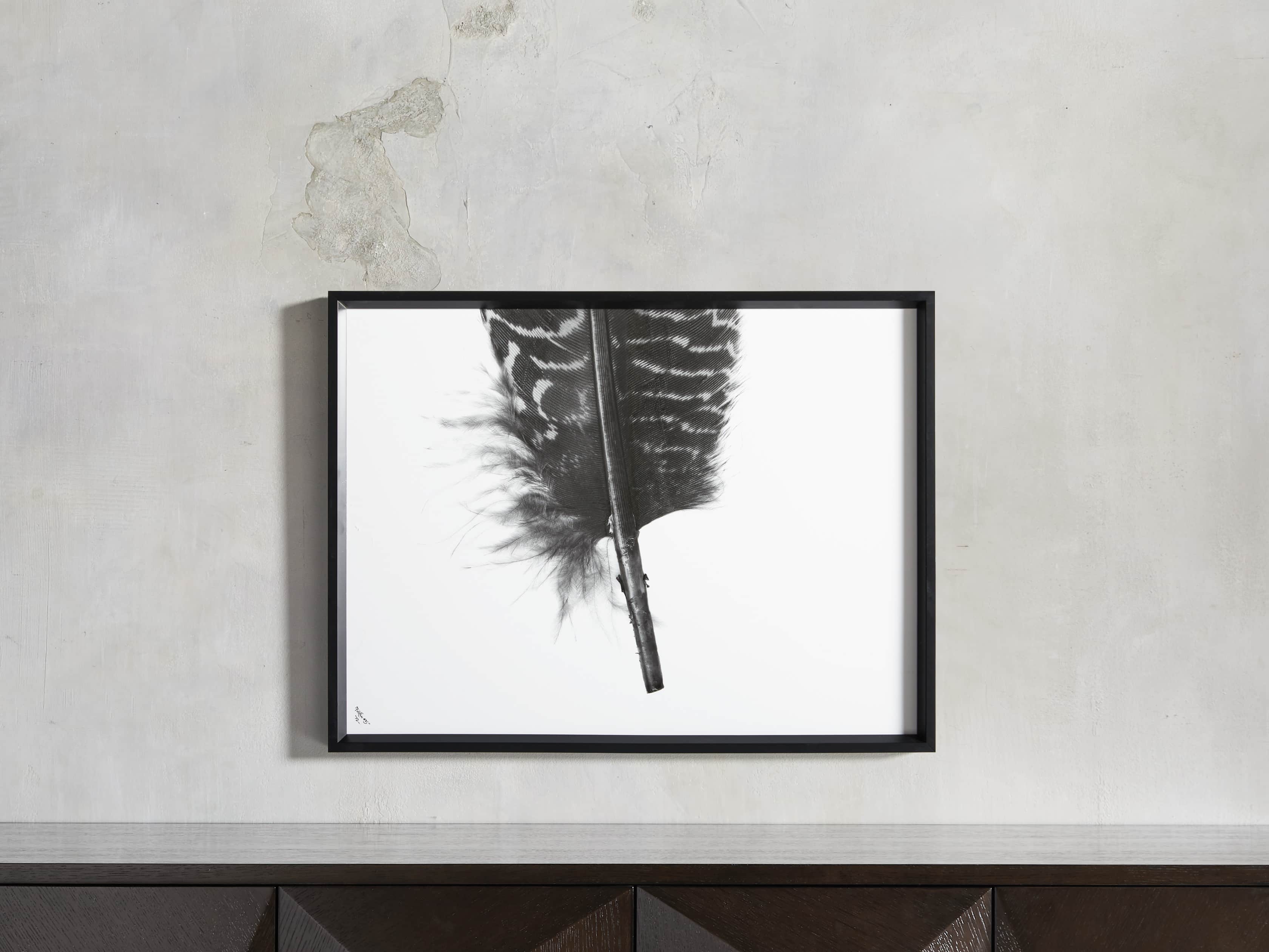 Pheasant Feather Triptych Framed Print, slide 10 of 11