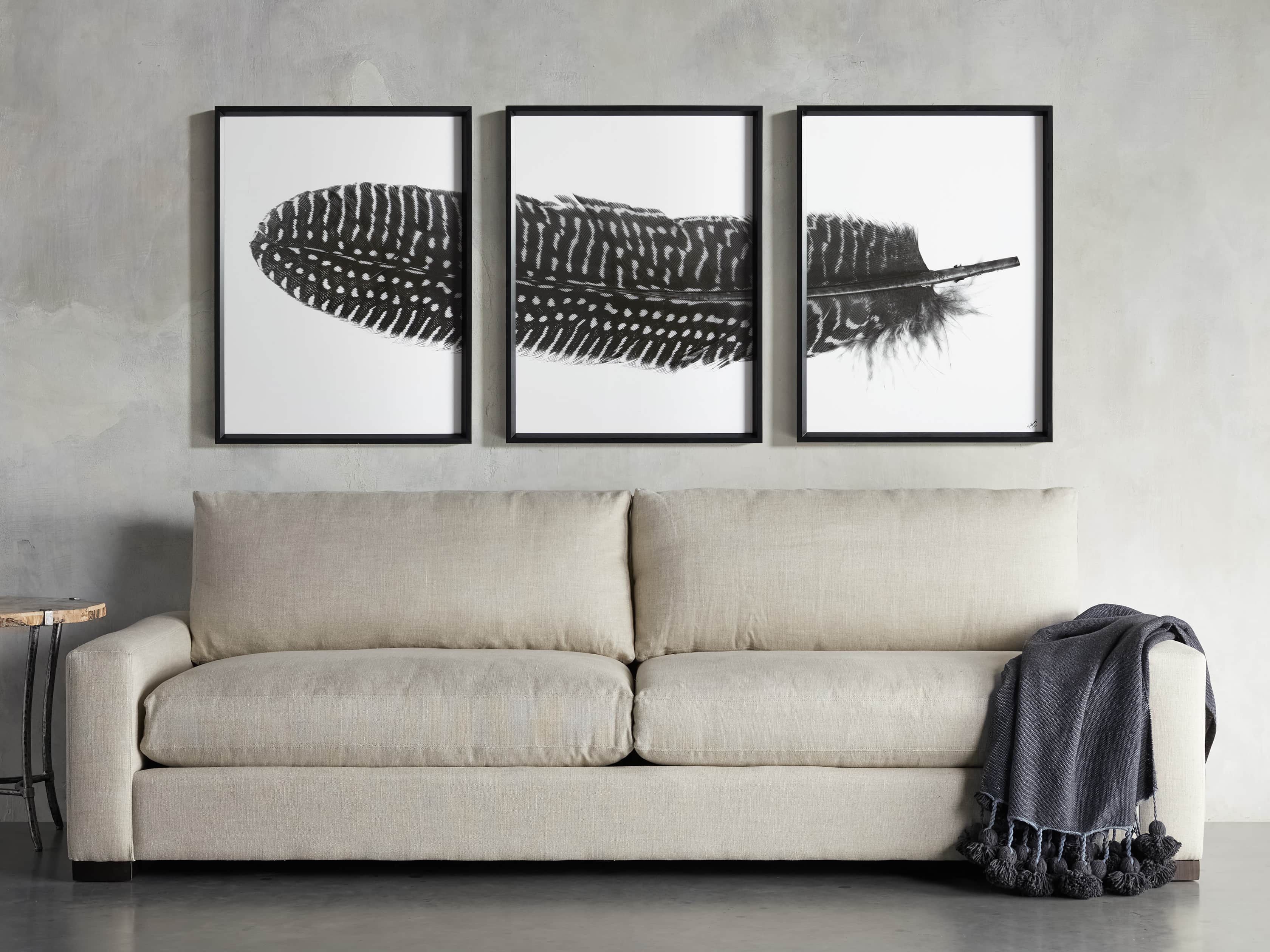 Pheasant Feather Triptych Framed Print, slide 11 of 11