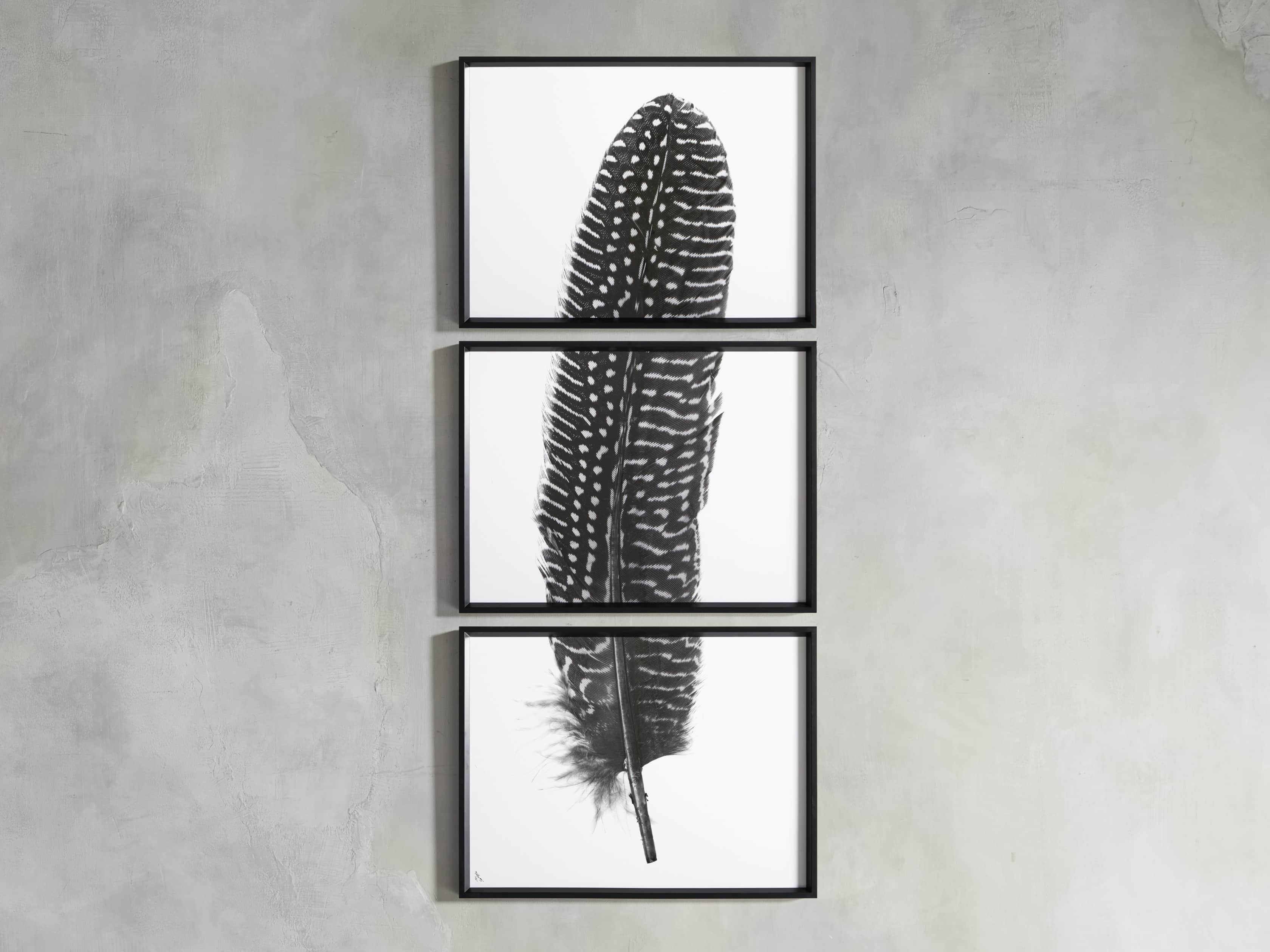 Pheasant Feather Triptych Framed Print, slide 7 of 11