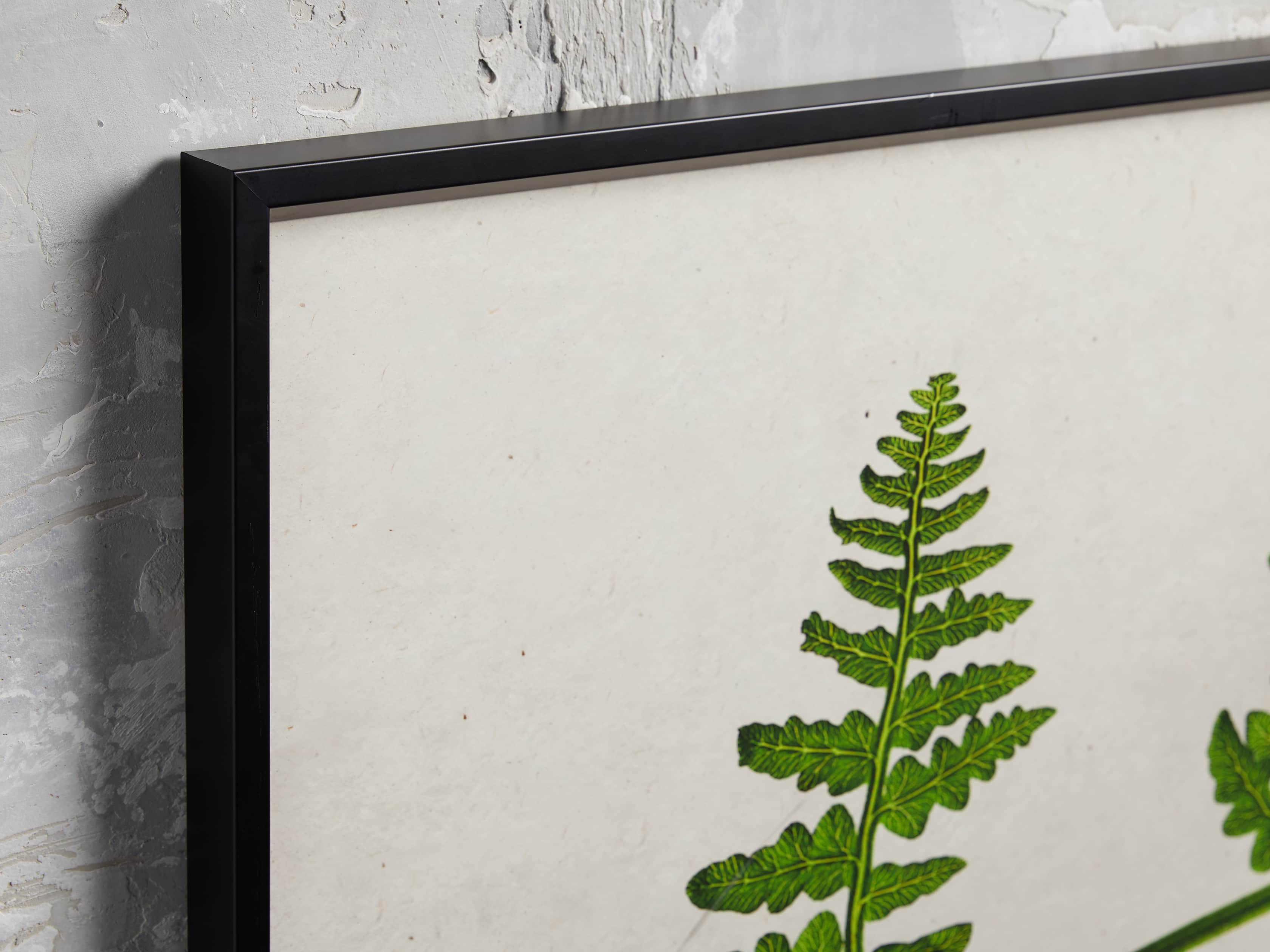 Fern Triptych Print, slide 2 of 4