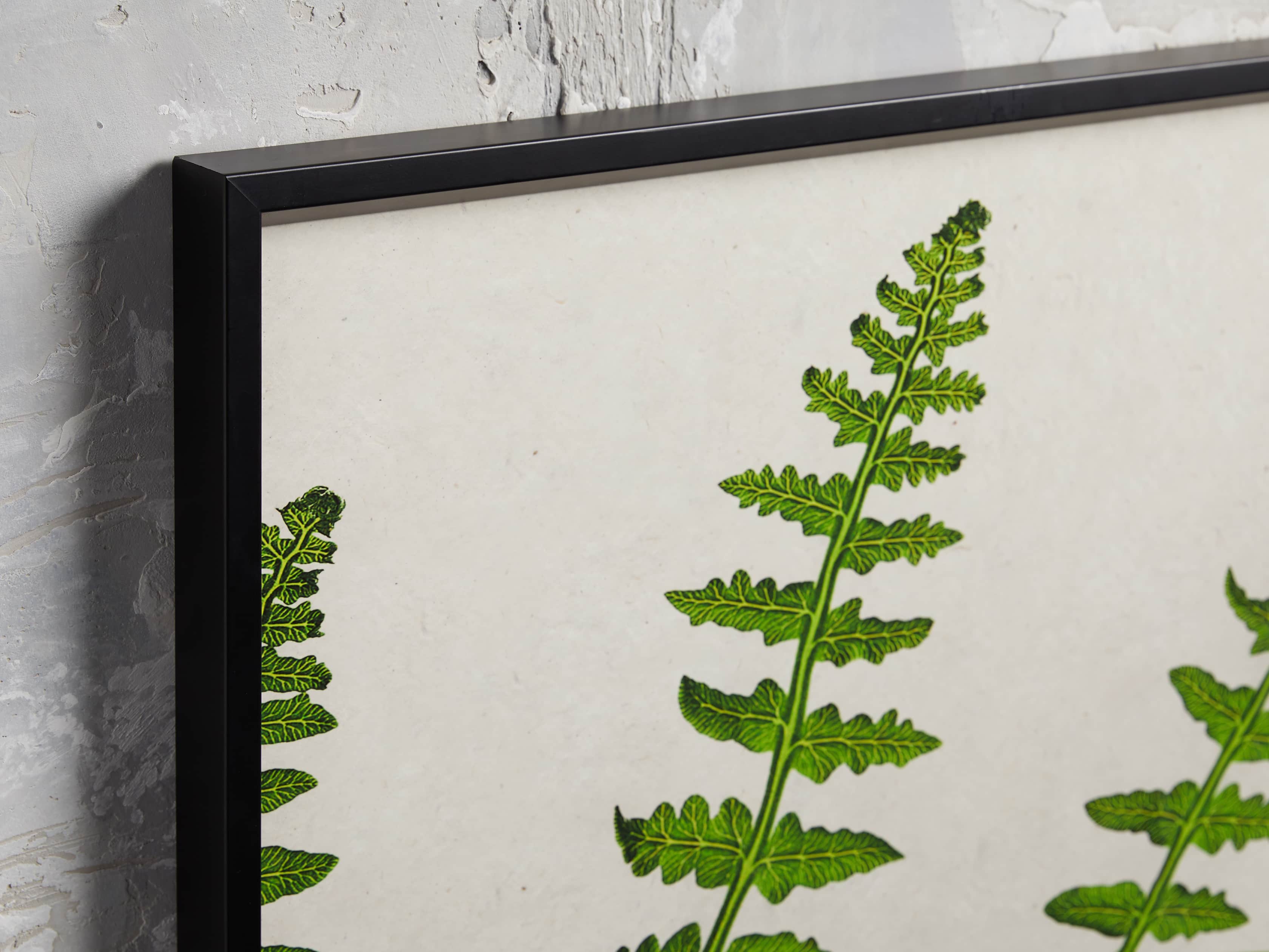Fern Triptych Print, slide 3 of 4