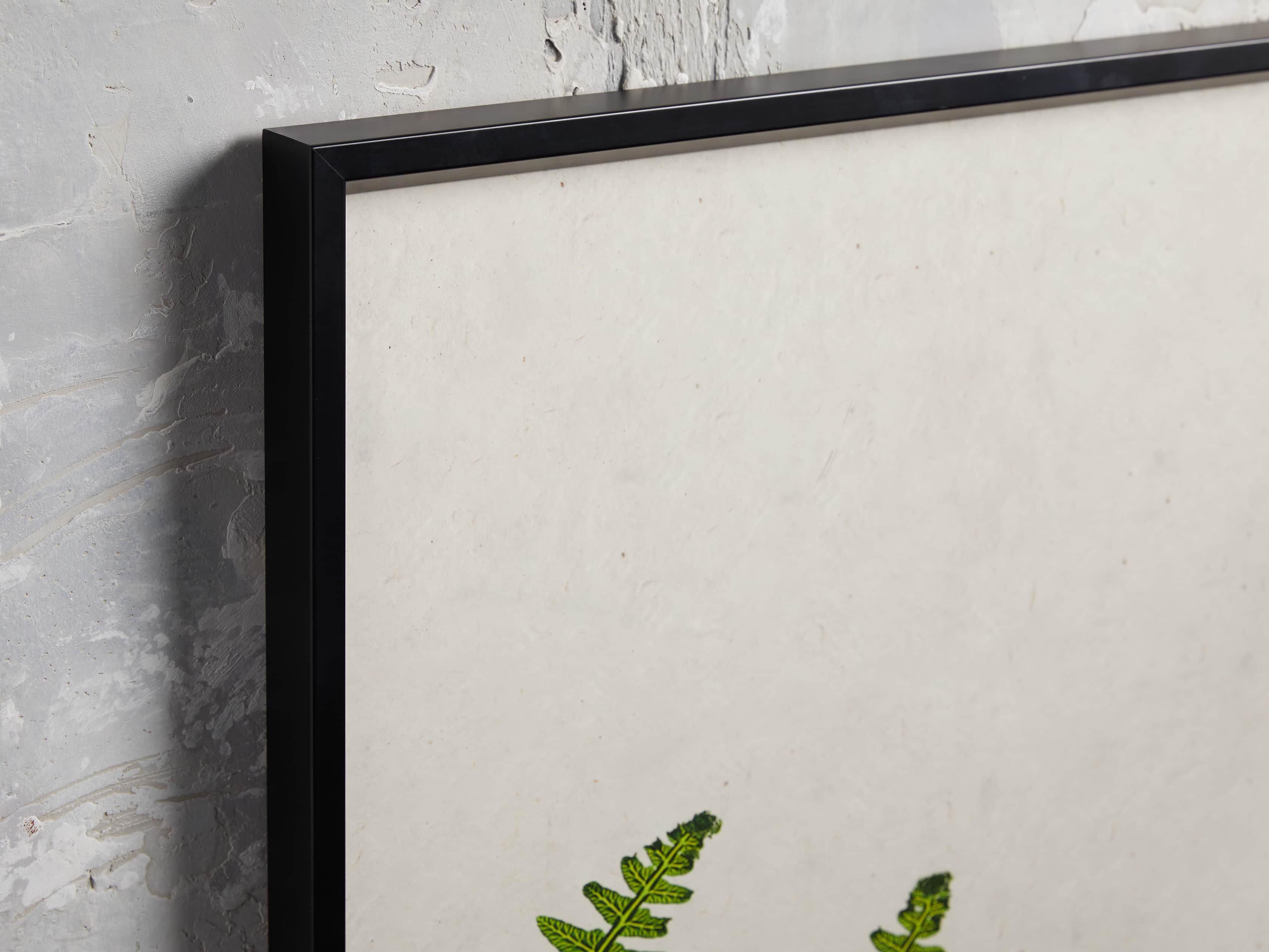 Fern Triptych Print, slide 4 of 4