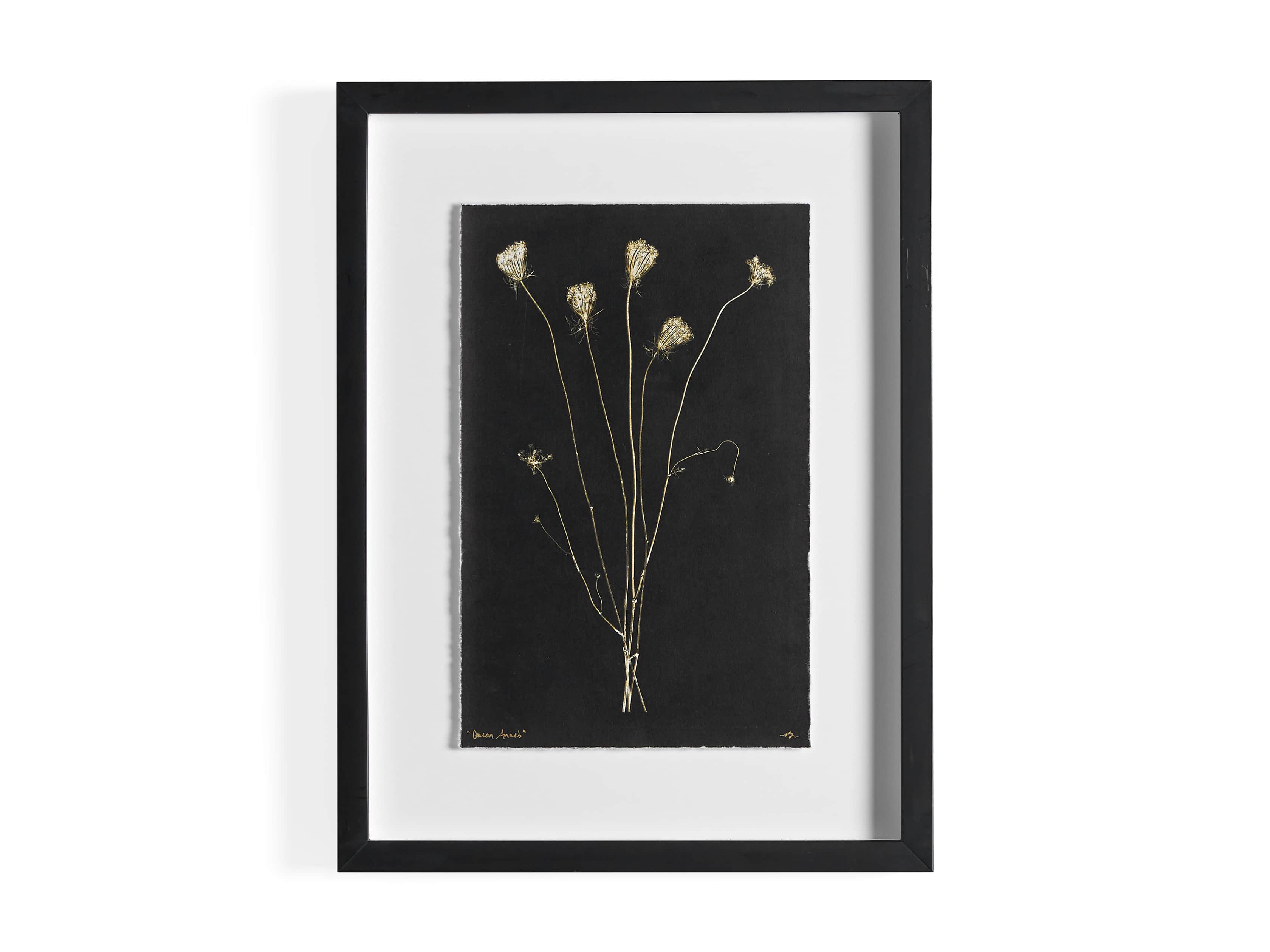 Golden Queen Anne's Lace Framed Print, slide 5 of 5