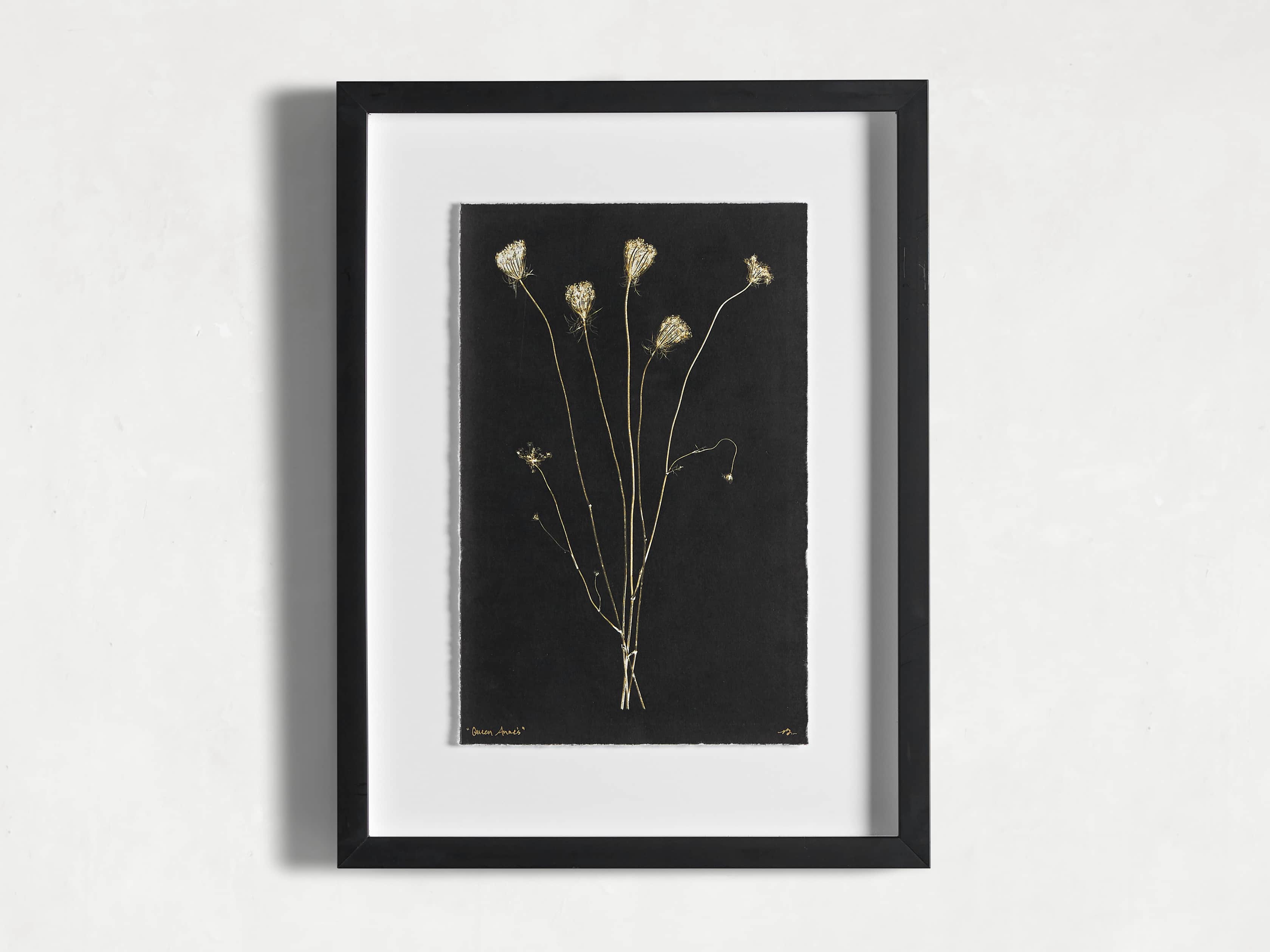 Golden Queen Anne's Lace Framed Print, slide 3 of 5