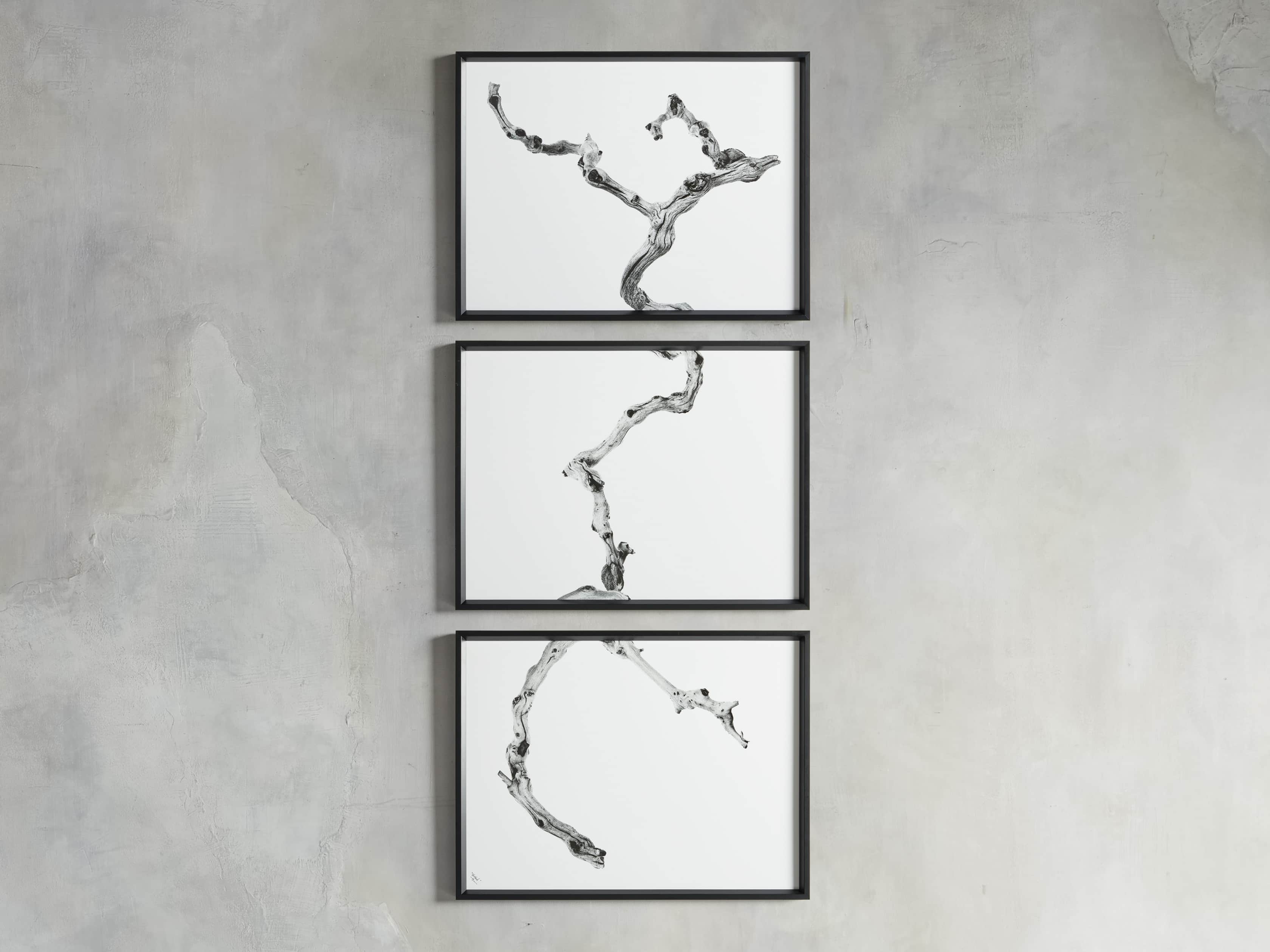 Branch Triptych Framed Print, slide 6 of 8