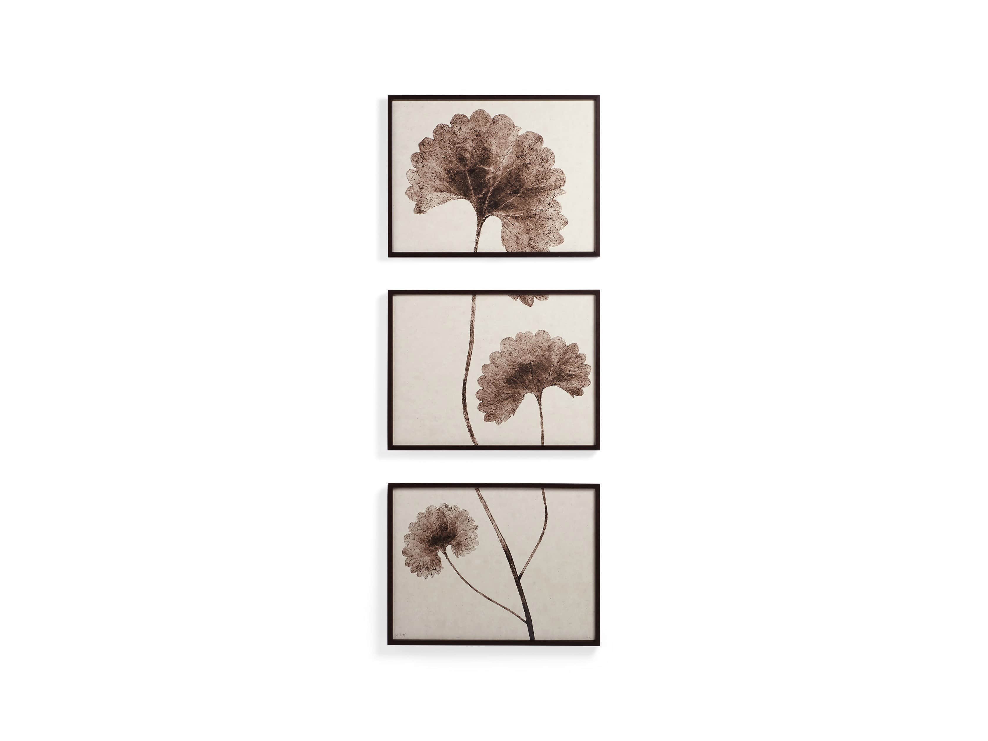 Botanical Triptych, slide 2 of 5