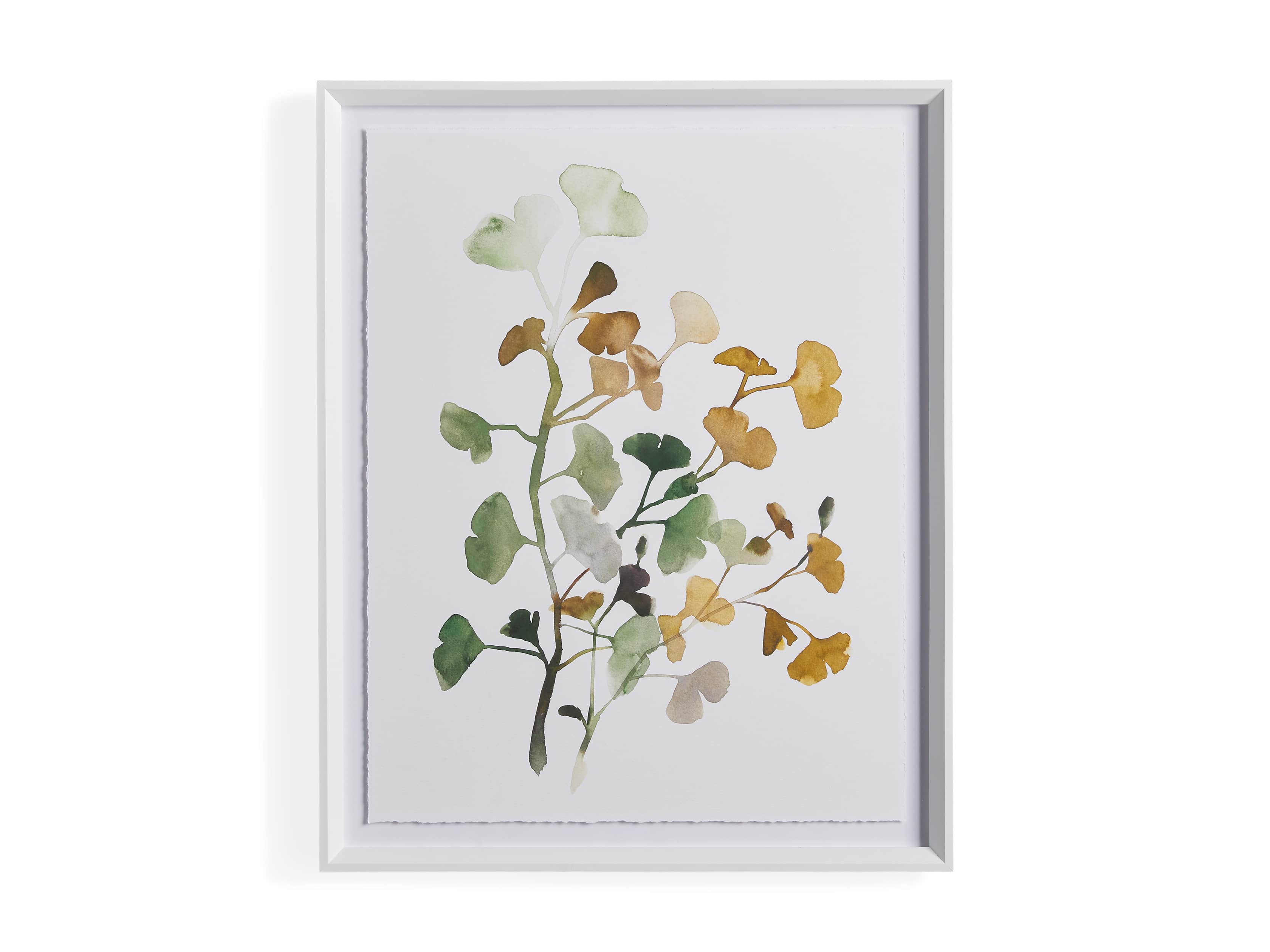 Ginkgo Watercolor Framed Print III, slide 4 of 4