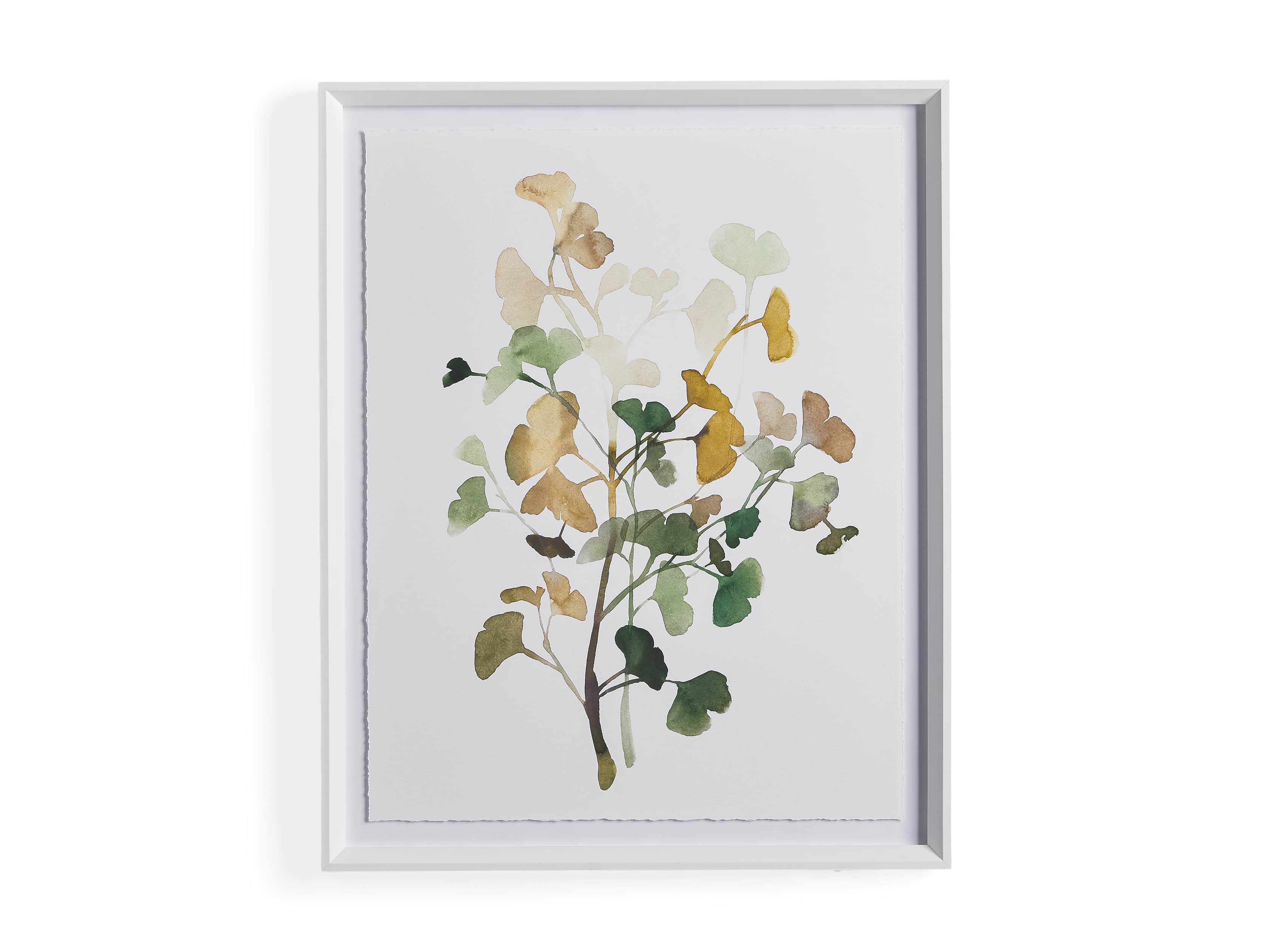 Ginkgo Watercolor Framed Print IV, slide 4 of 4