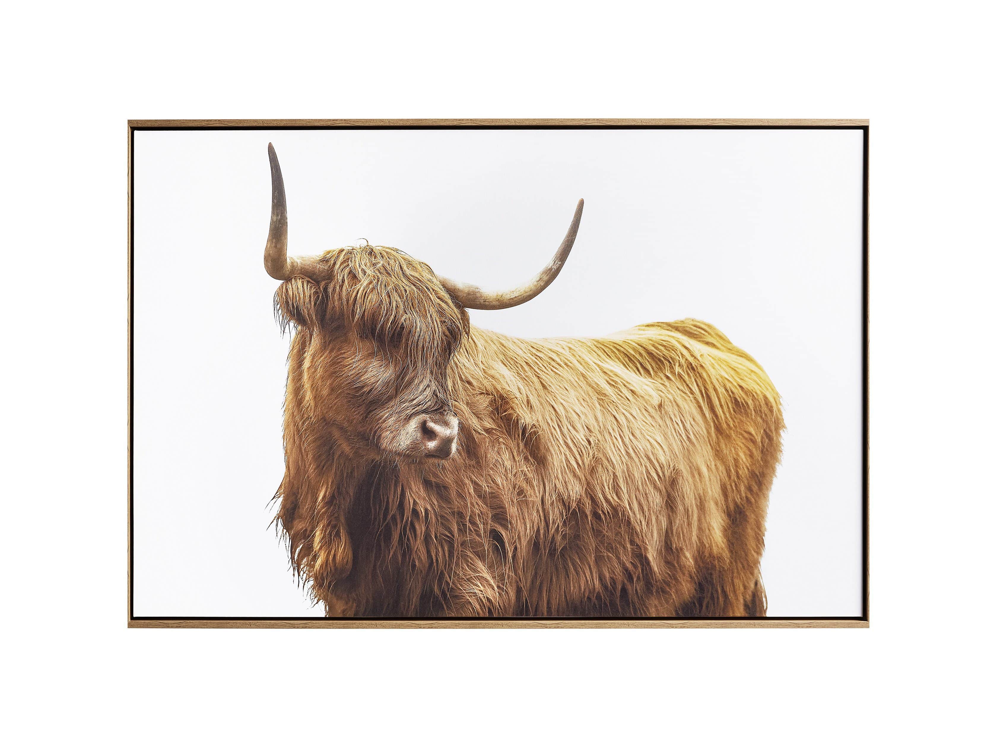 Highland 40" Framed Print, slide 4 of 4