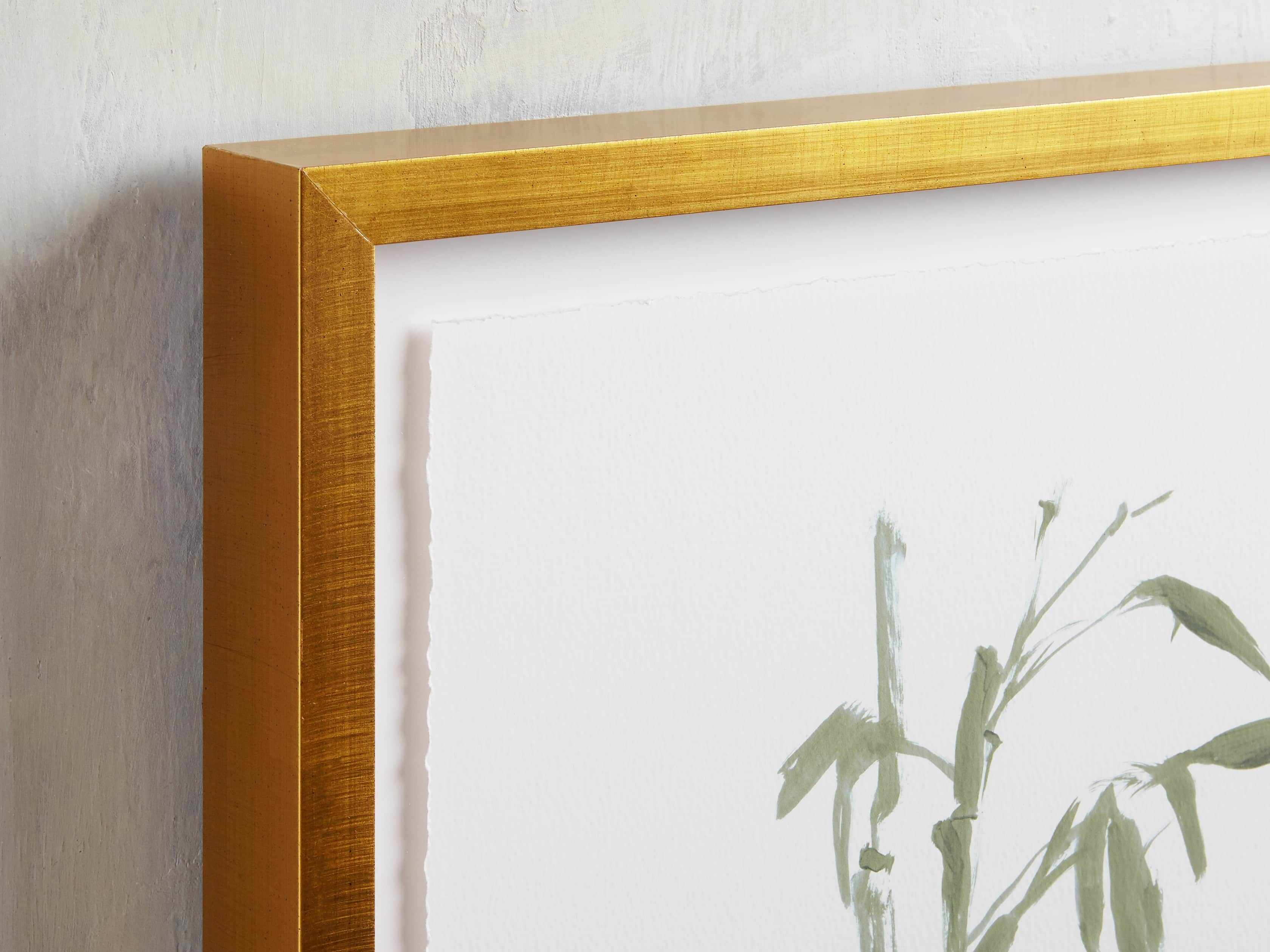 Sage Bamboo Framed Print