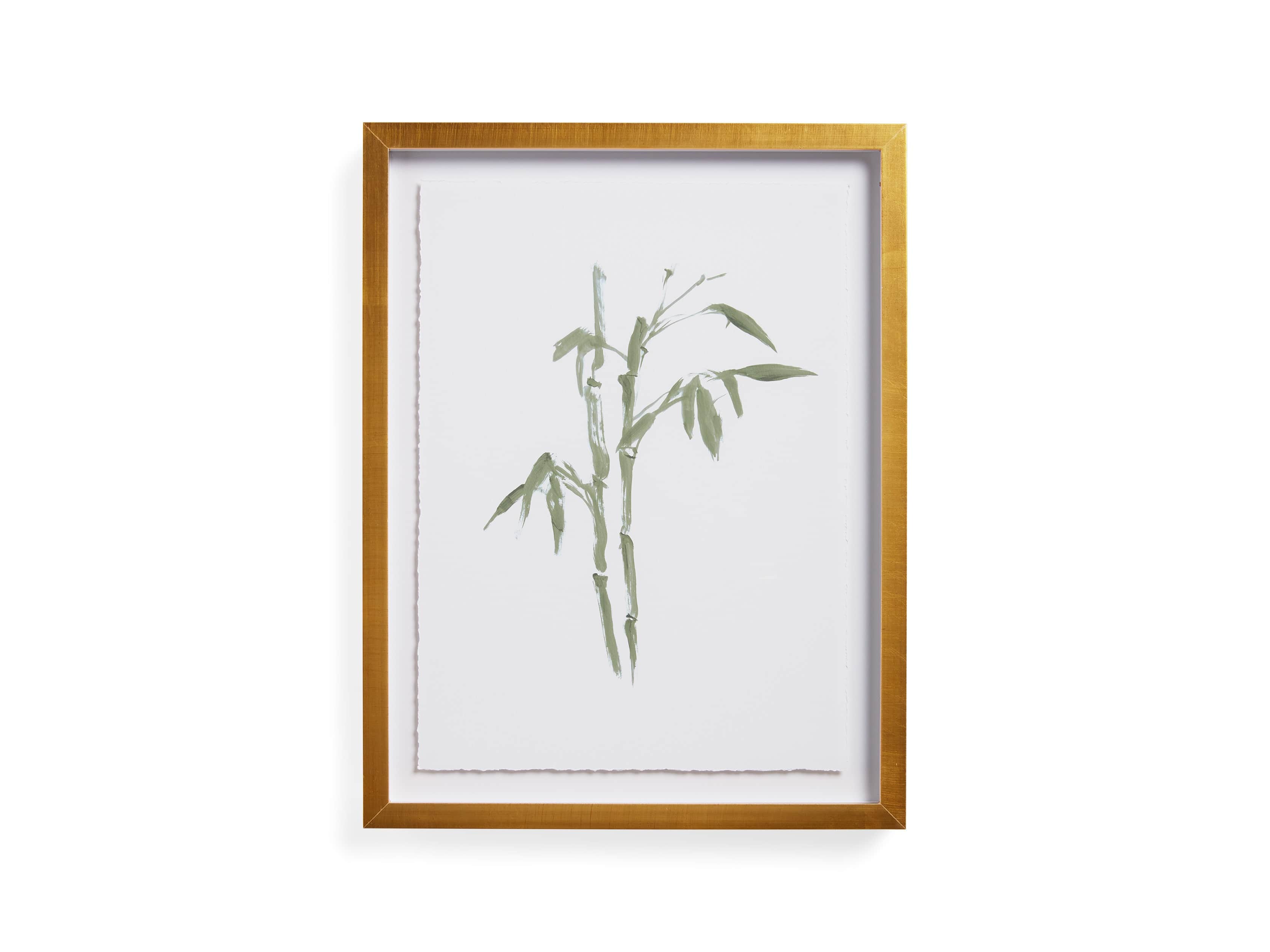 Sage Bamboo Framed Print
