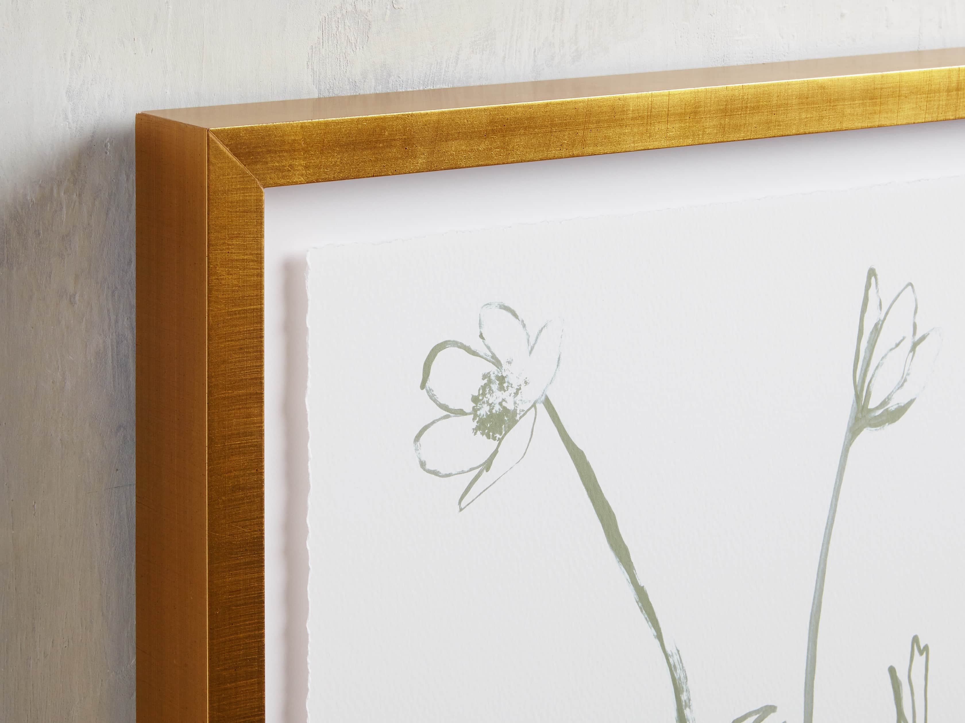 Sage Blooms Framed Print 2