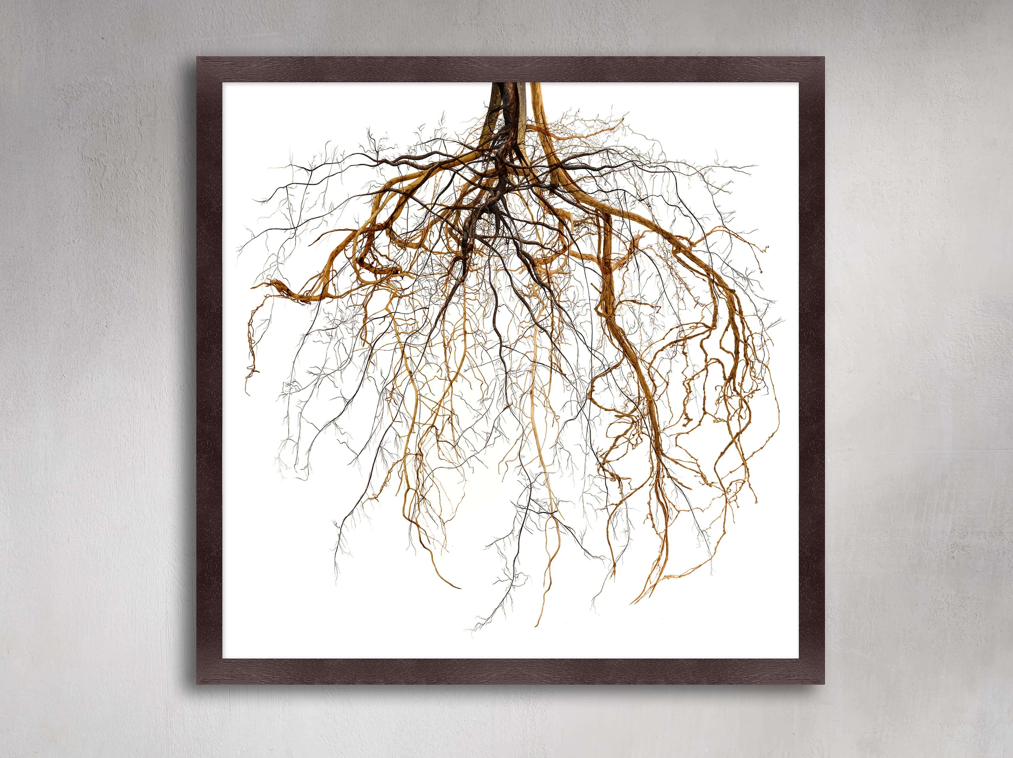 Roots Framed Arhaus