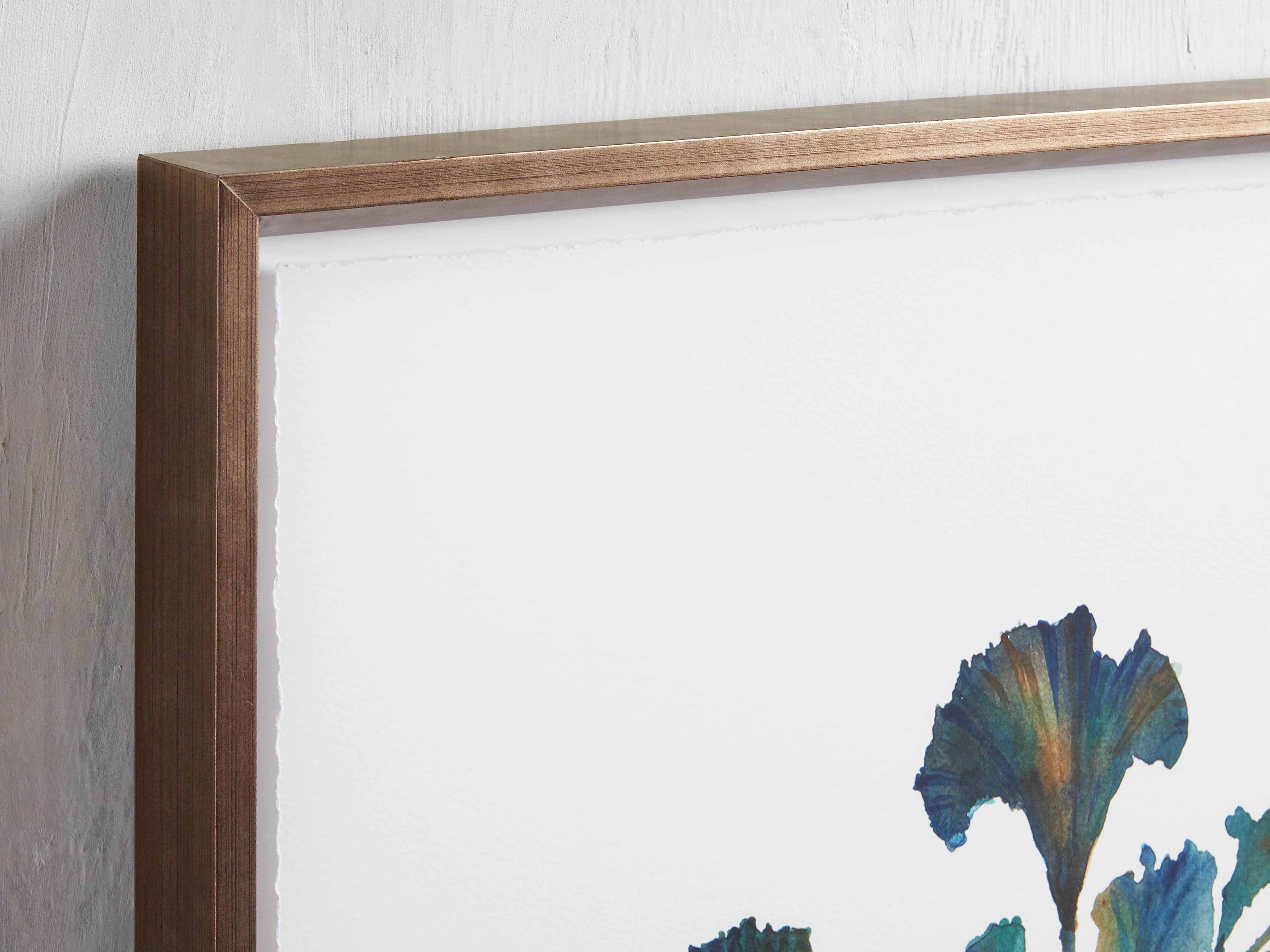 Watercolor Coral Framed Print 3