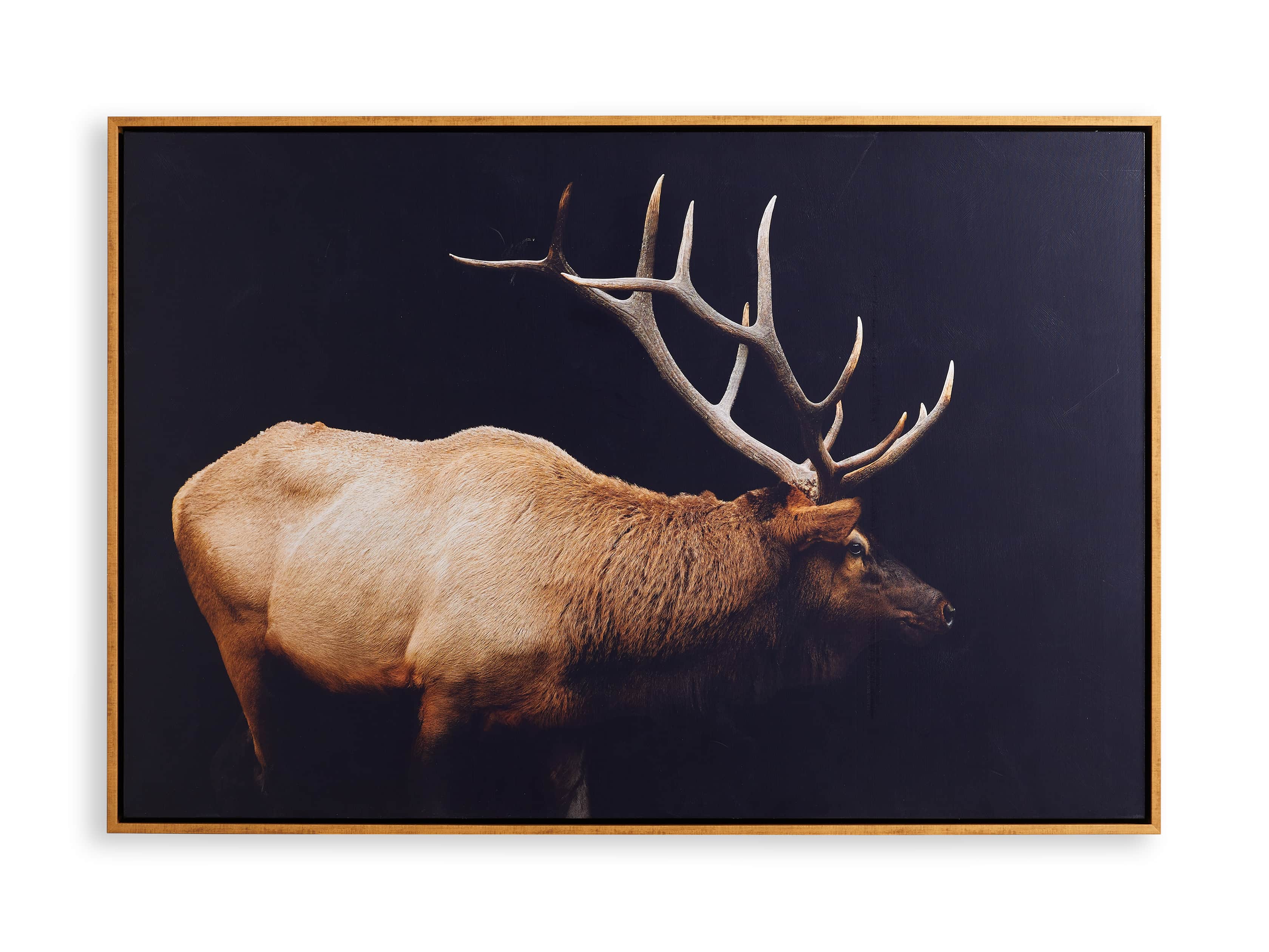 Caribou Canvas Wall Art, slide 5 of 5