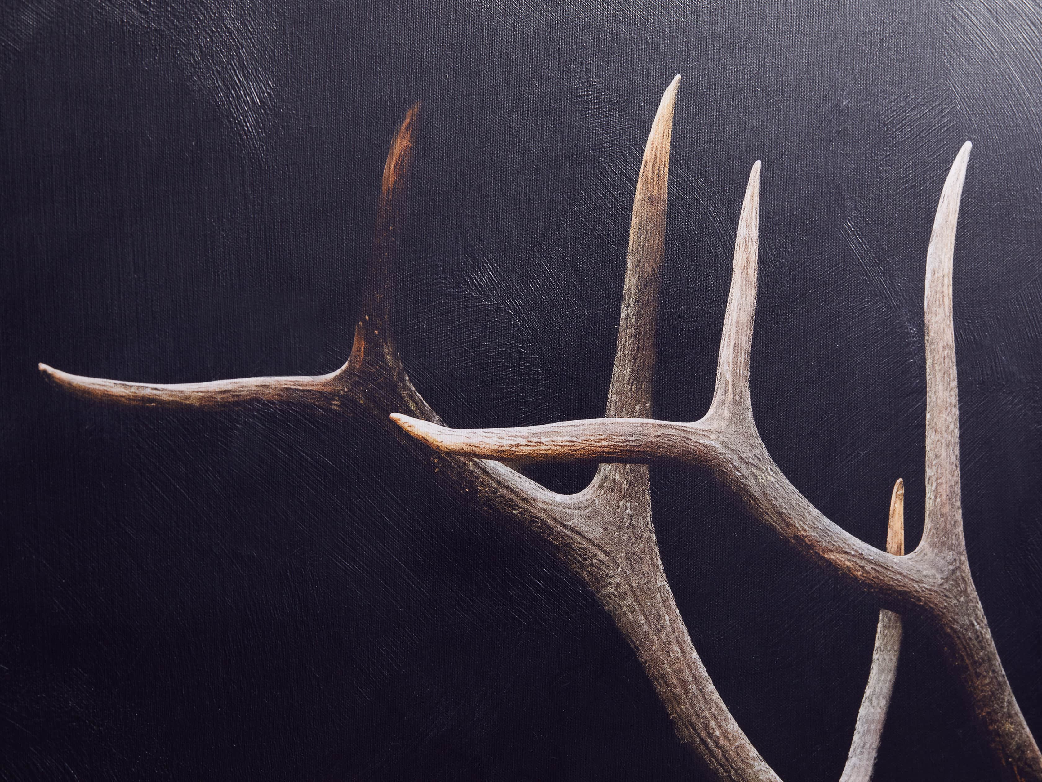 Caribou Canvas Wall Art, slide 3 of 5