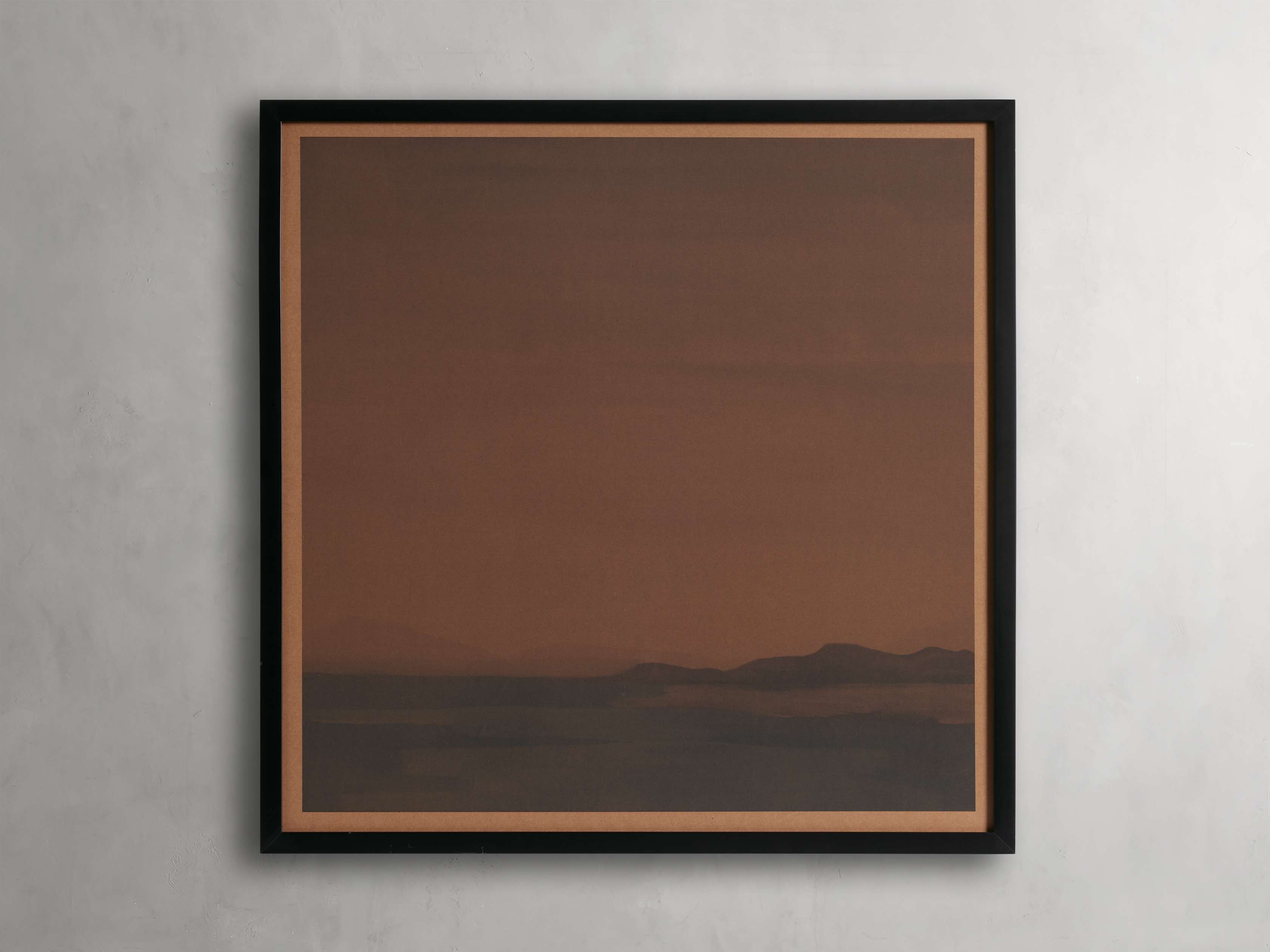 Botanical Shadows II Framed Print – Arhaus