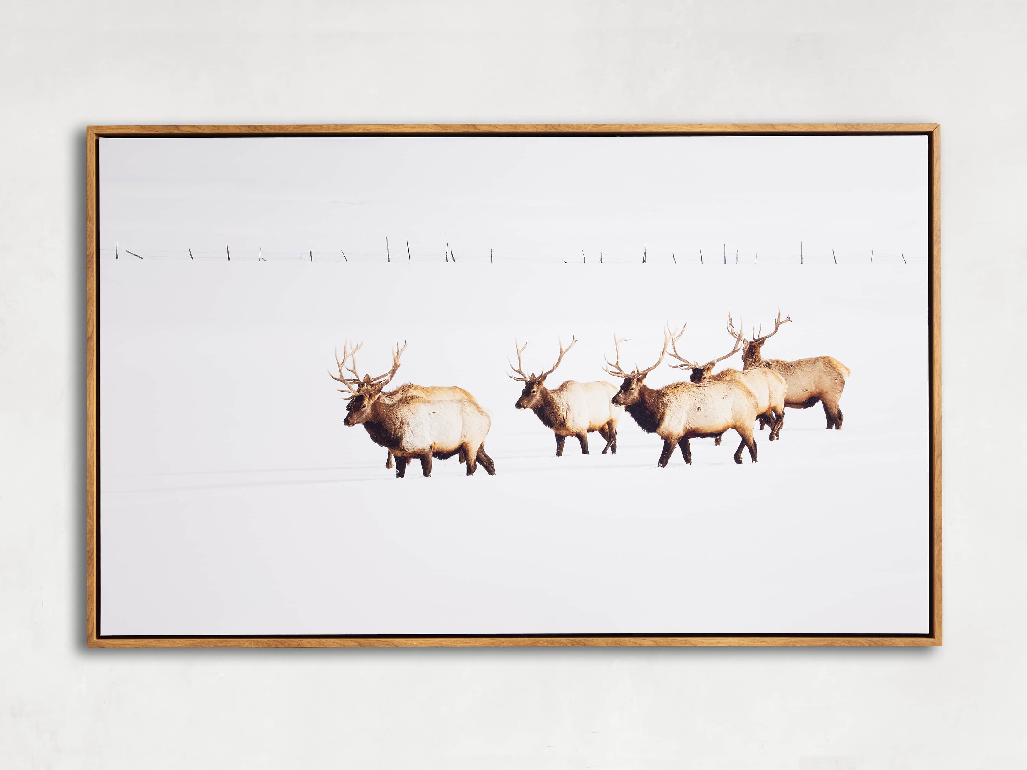 Migration Canvas Wall Art, slide 4 of 5