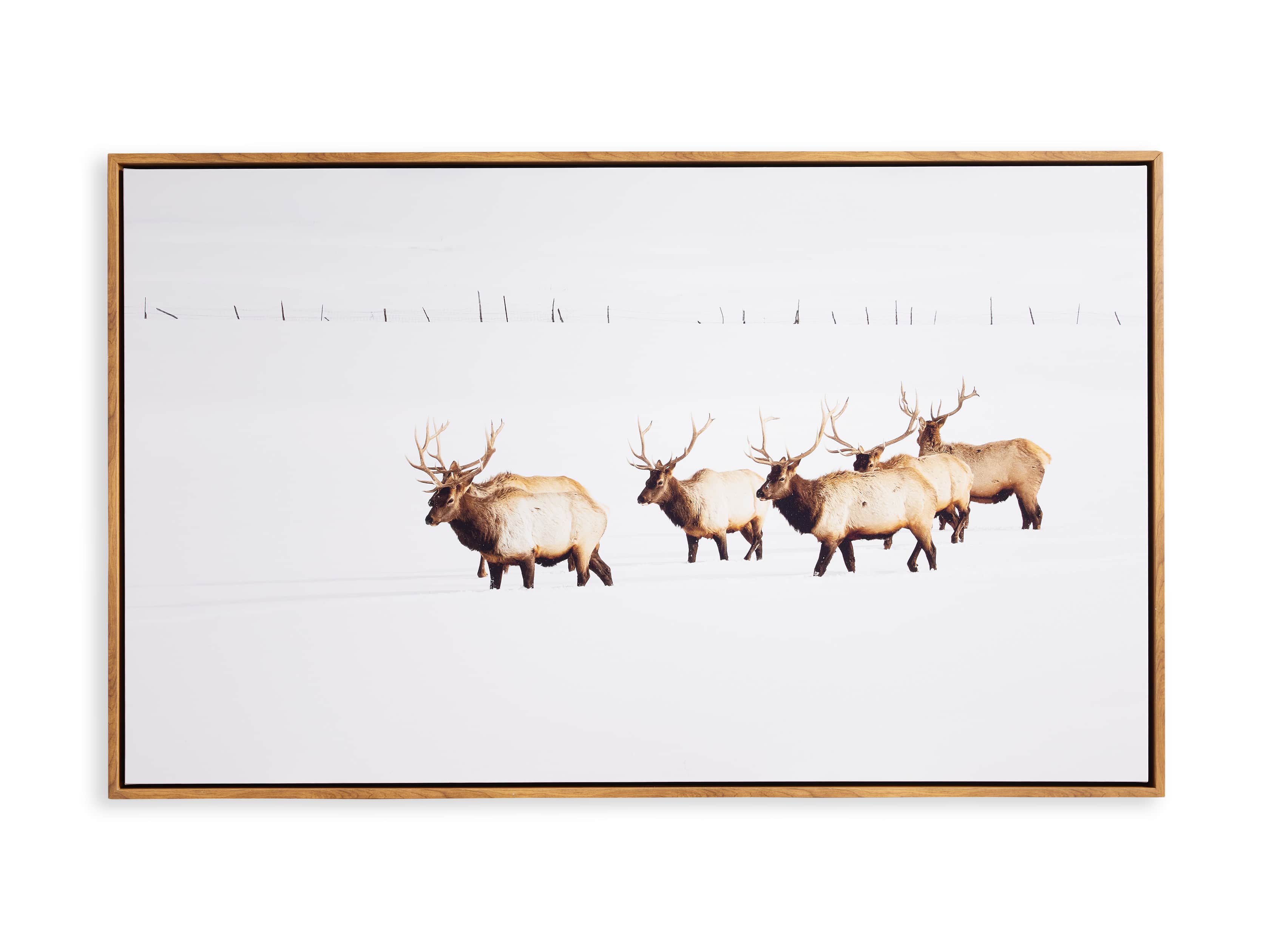 Migration Canvas Wall Art, slide 5 of 5