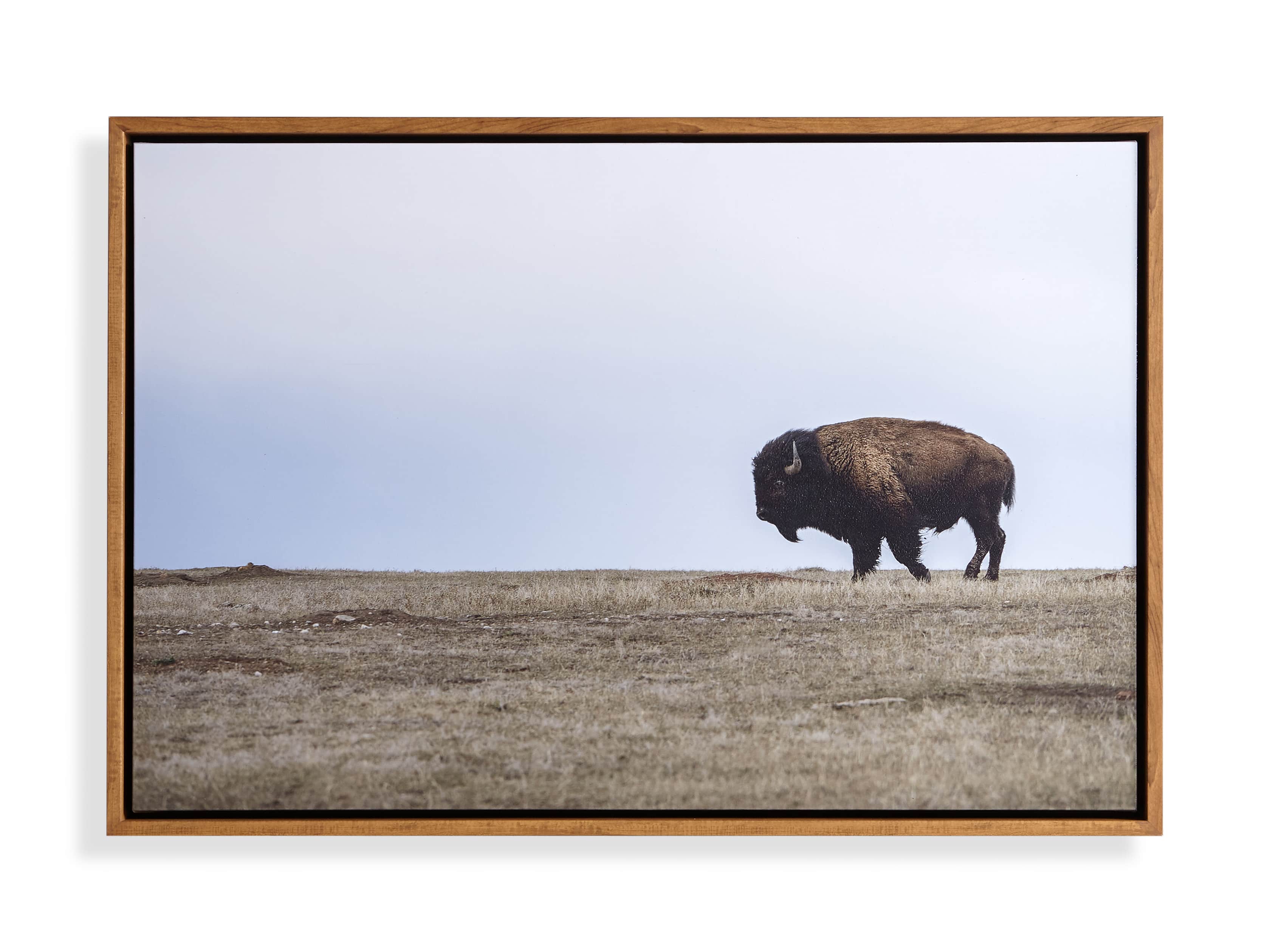 Great Plains 2 Framed Print, slide 3 of 3