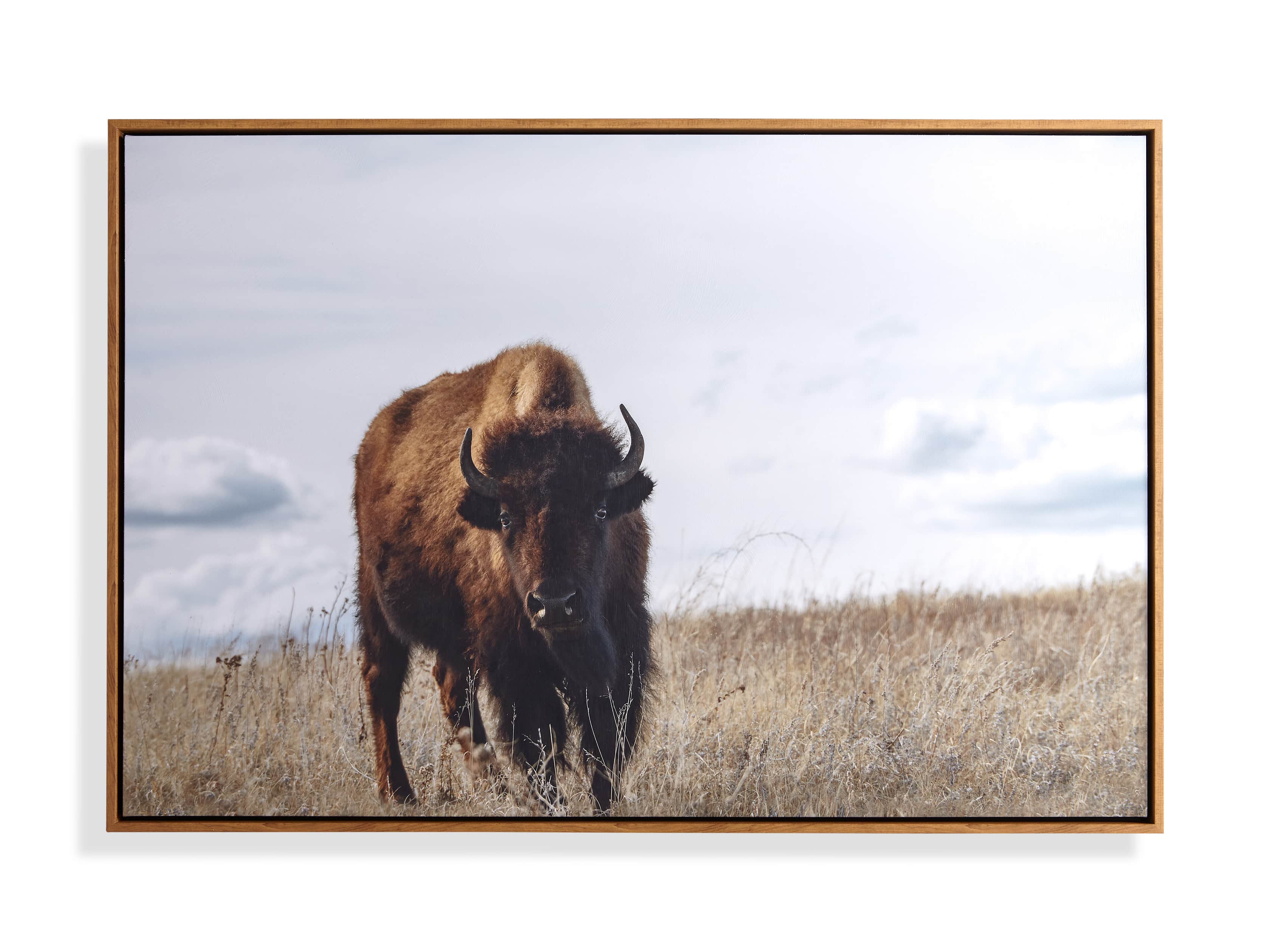 Great Plains 1 Framed Print, slide 3 of 3