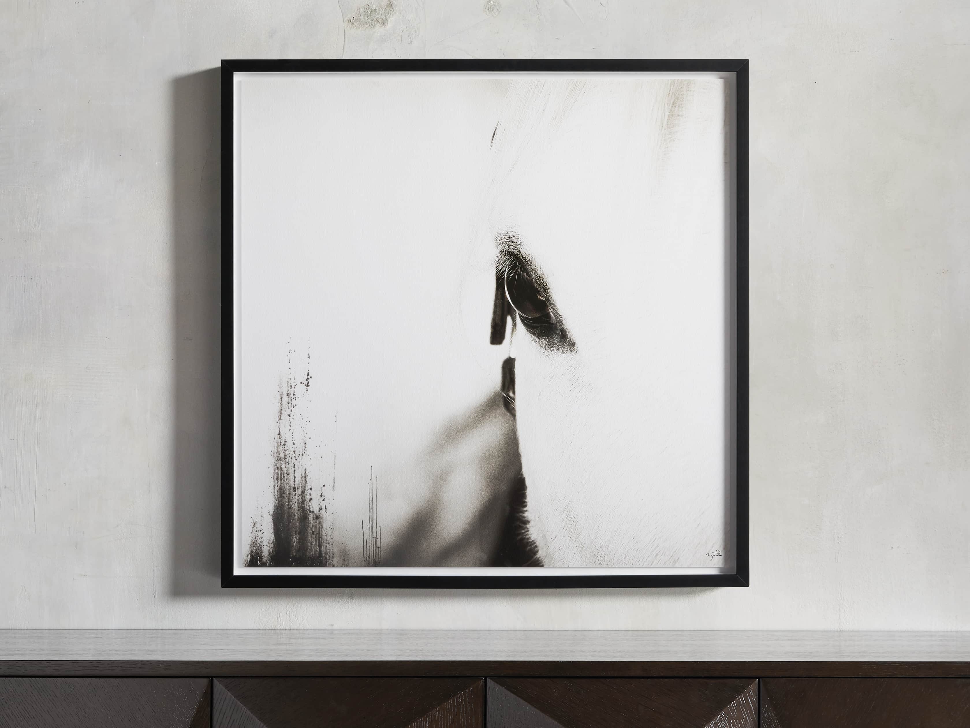 Olenna Framed Print, slide 1 of 5