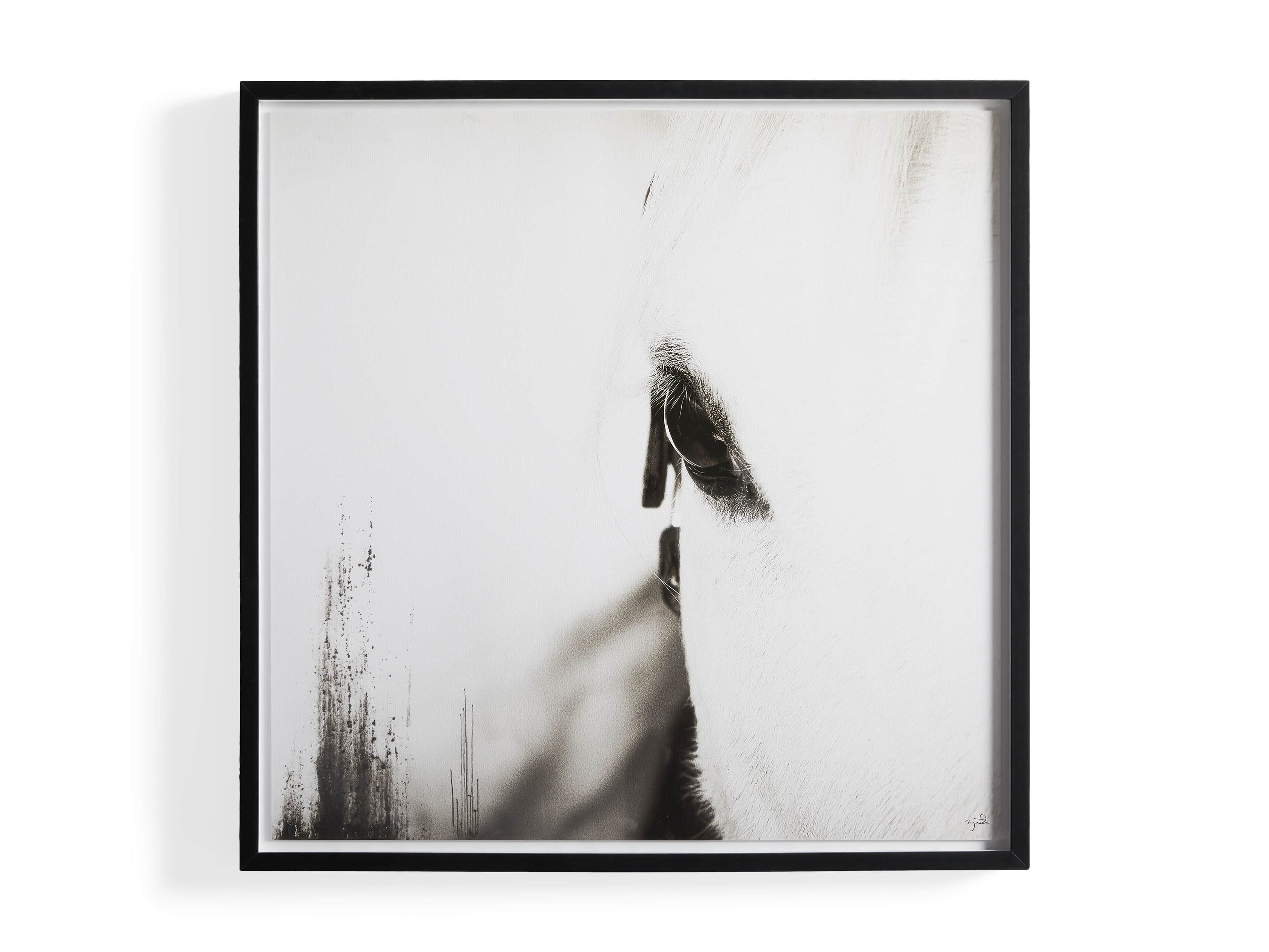 Olenna Framed Print, slide 5 of 5
