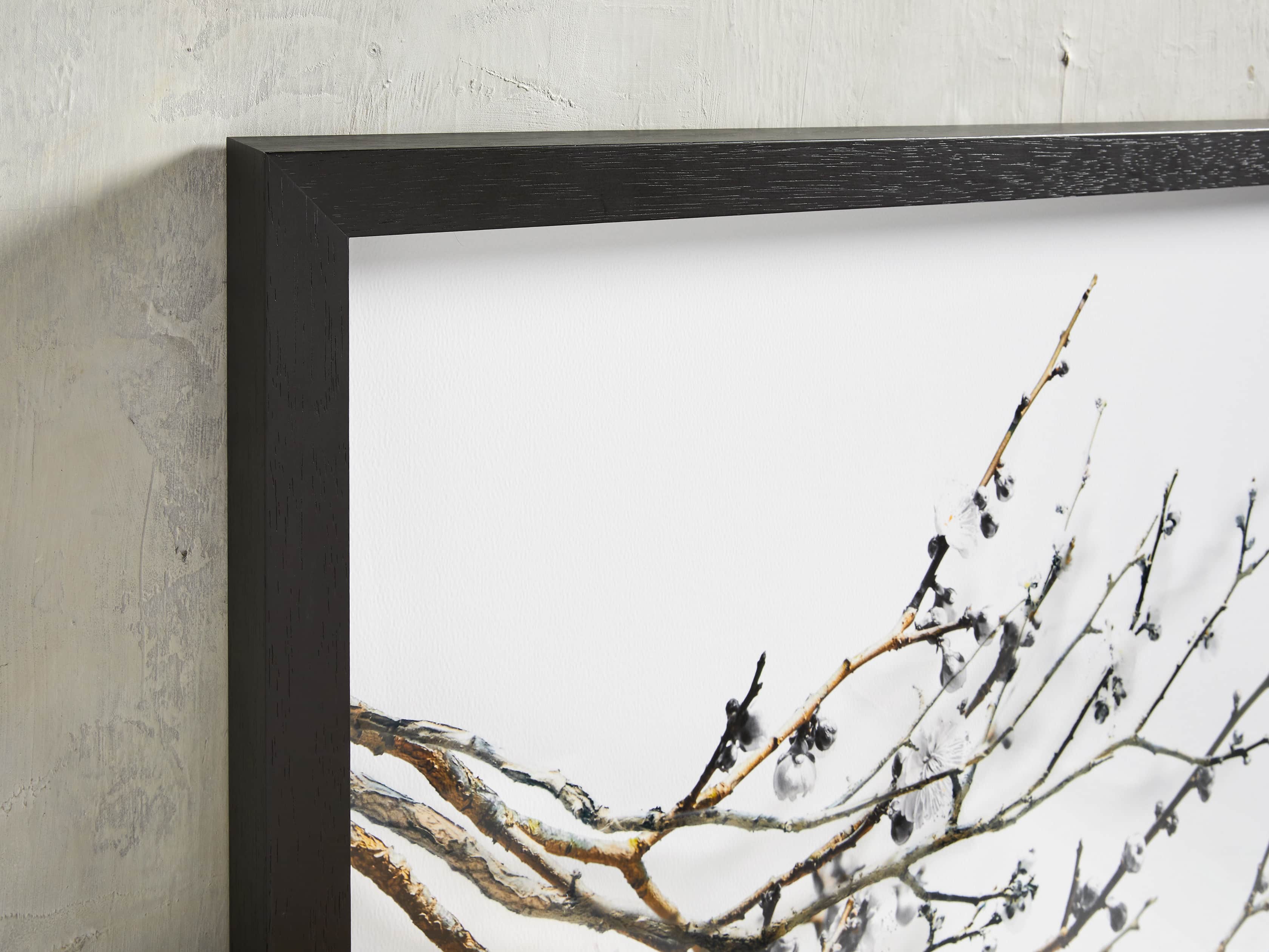 Plum Blossoms Framed Print, slide 2 of 4