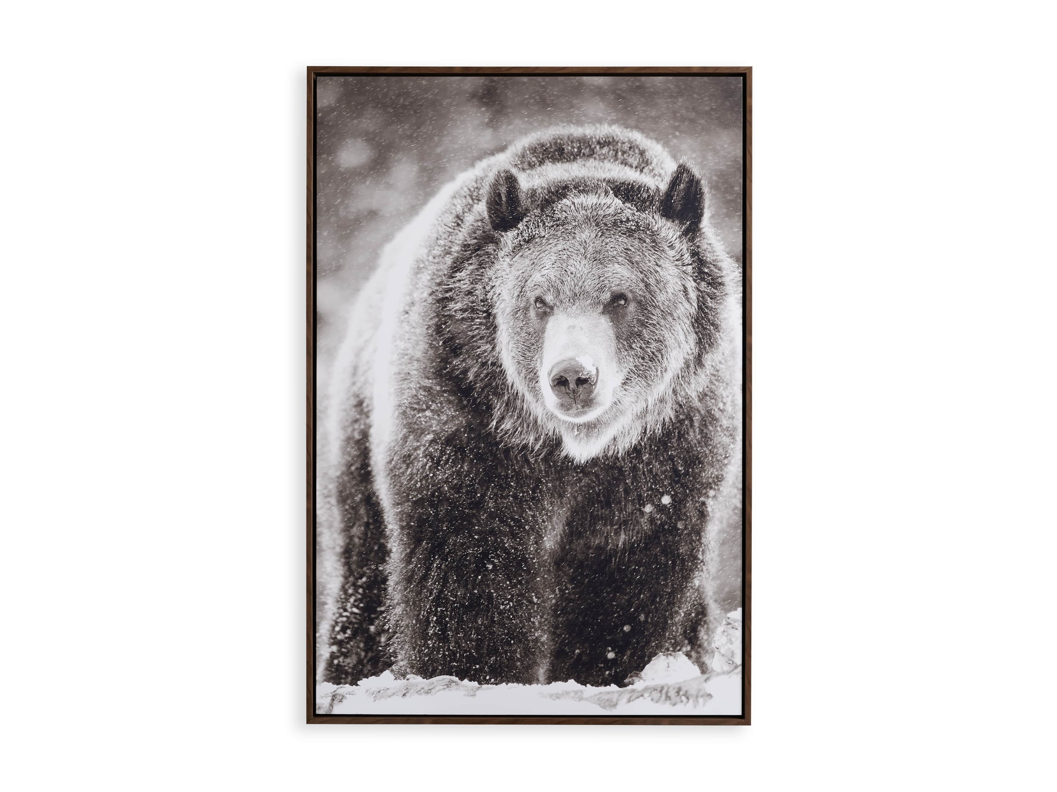 Snow Grizzly Canvas Wall Art, slide 4 of 4