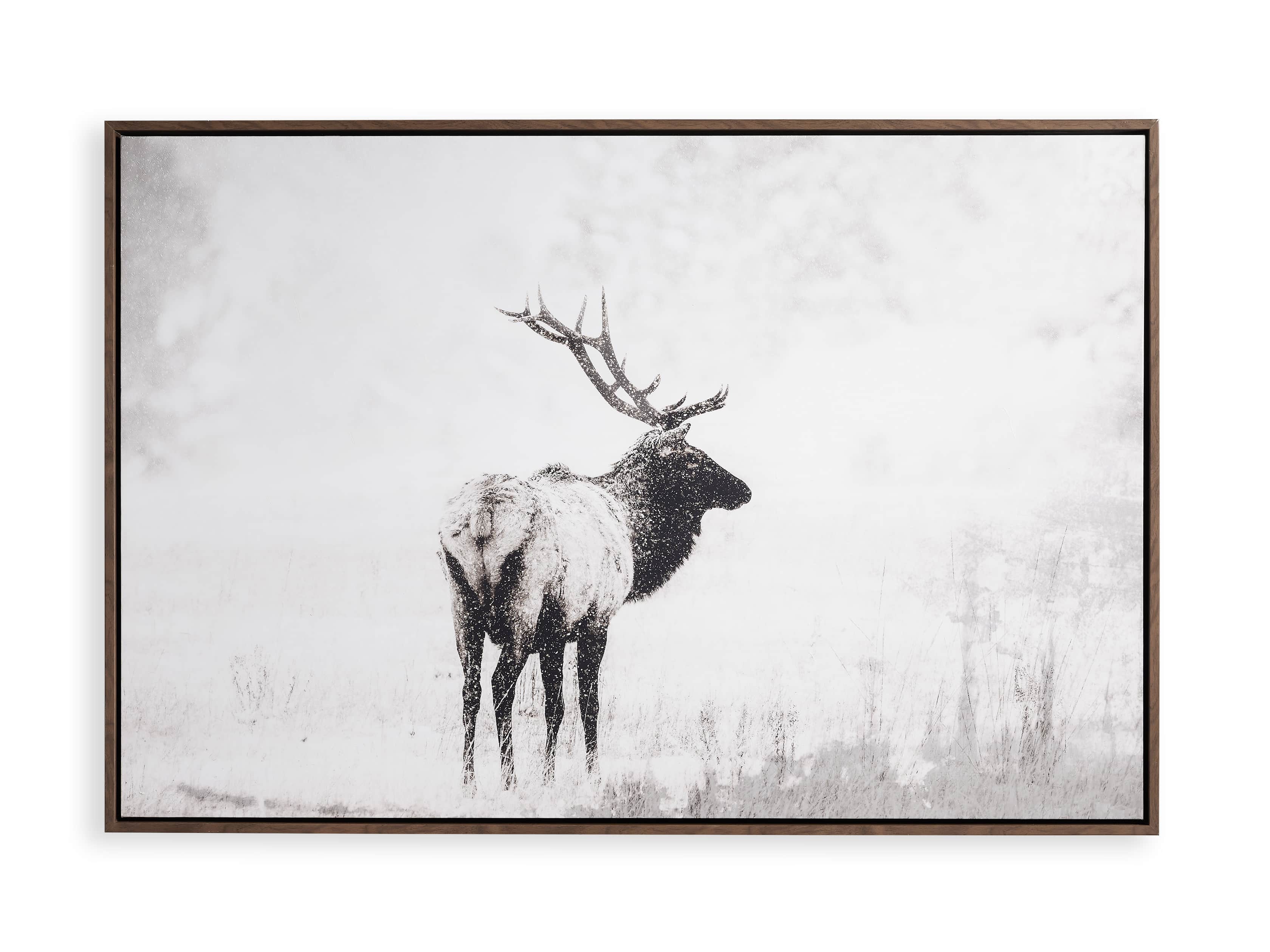 Solitdue Canvas Wall Art, slide 5 of 5