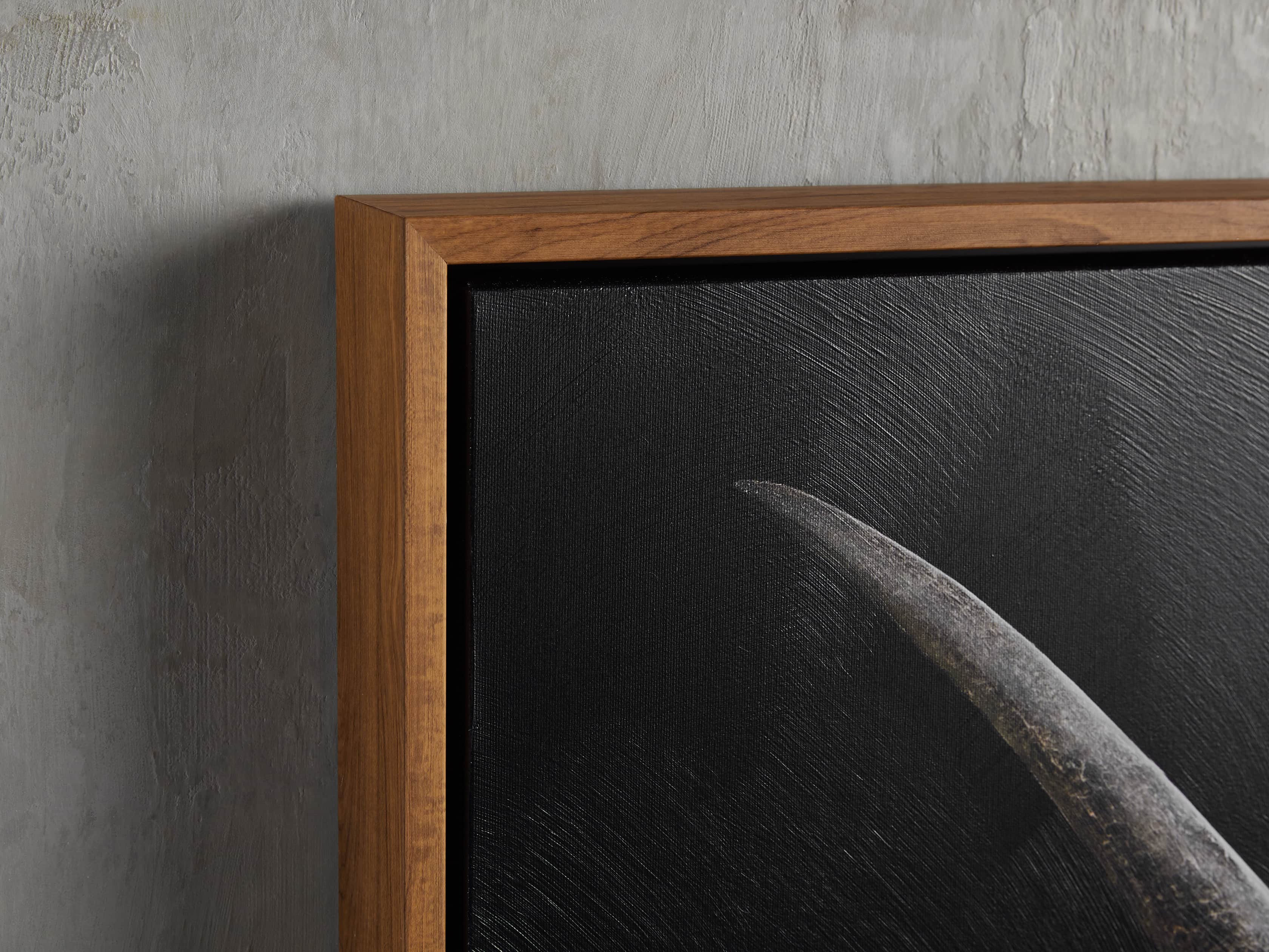 Longhorn Framed Print, slide 2 of 2