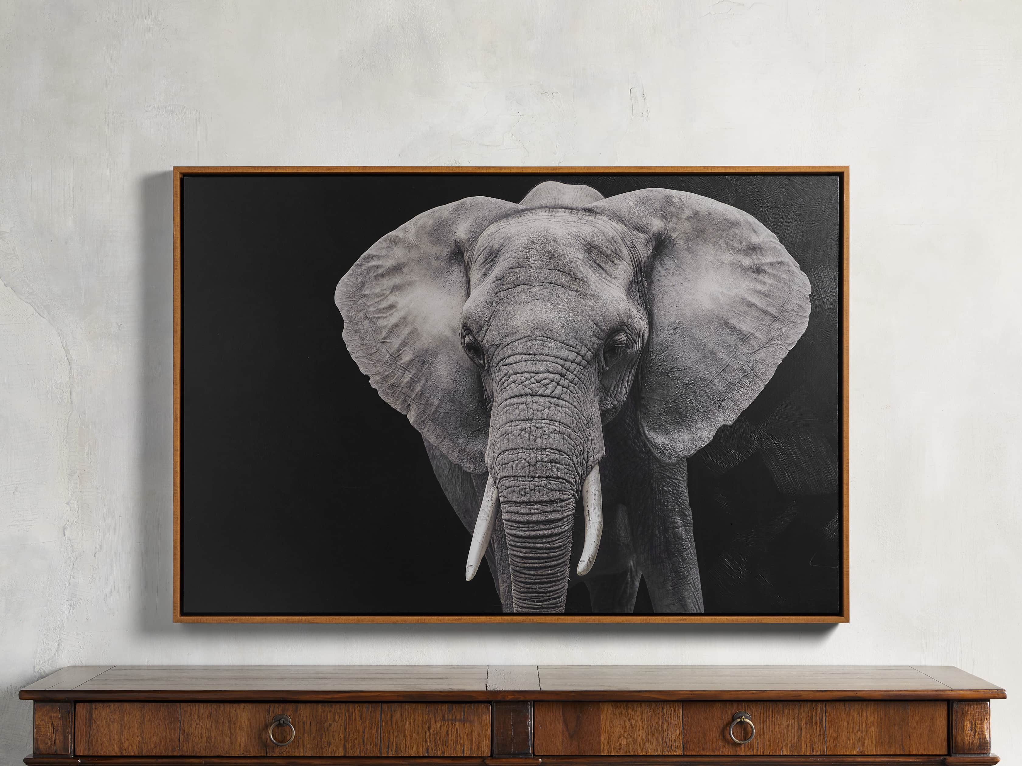 Loxodonta Framed Print, slide 1 of 3