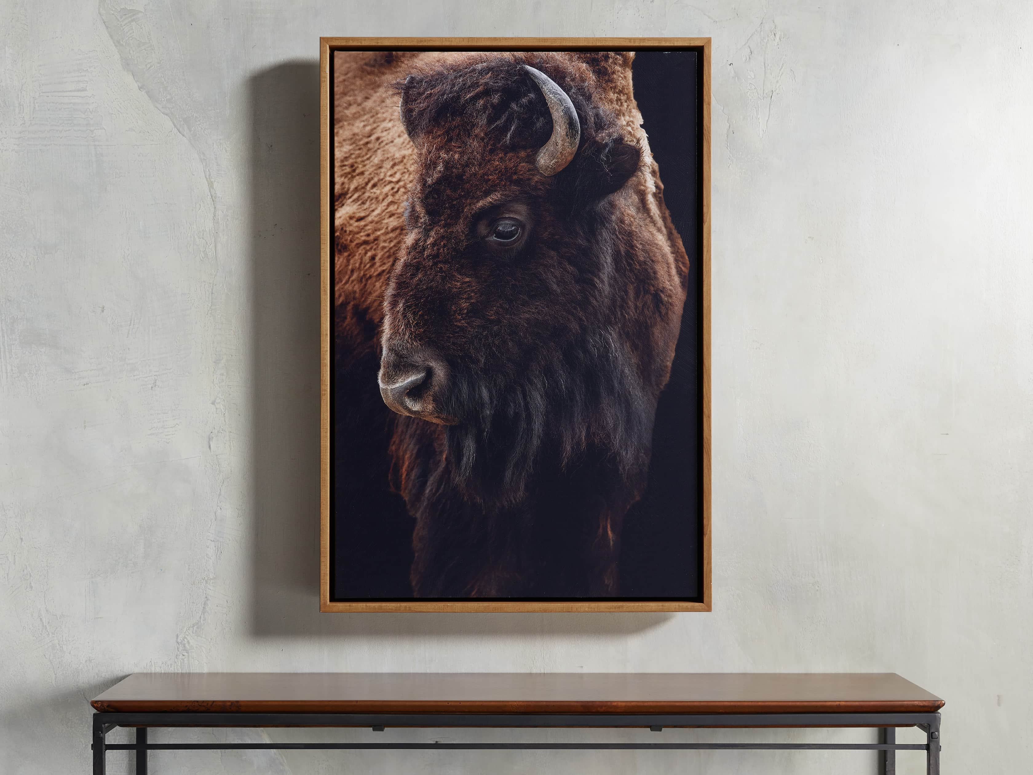 Bison Plains Framed Print, slide 1 of 4