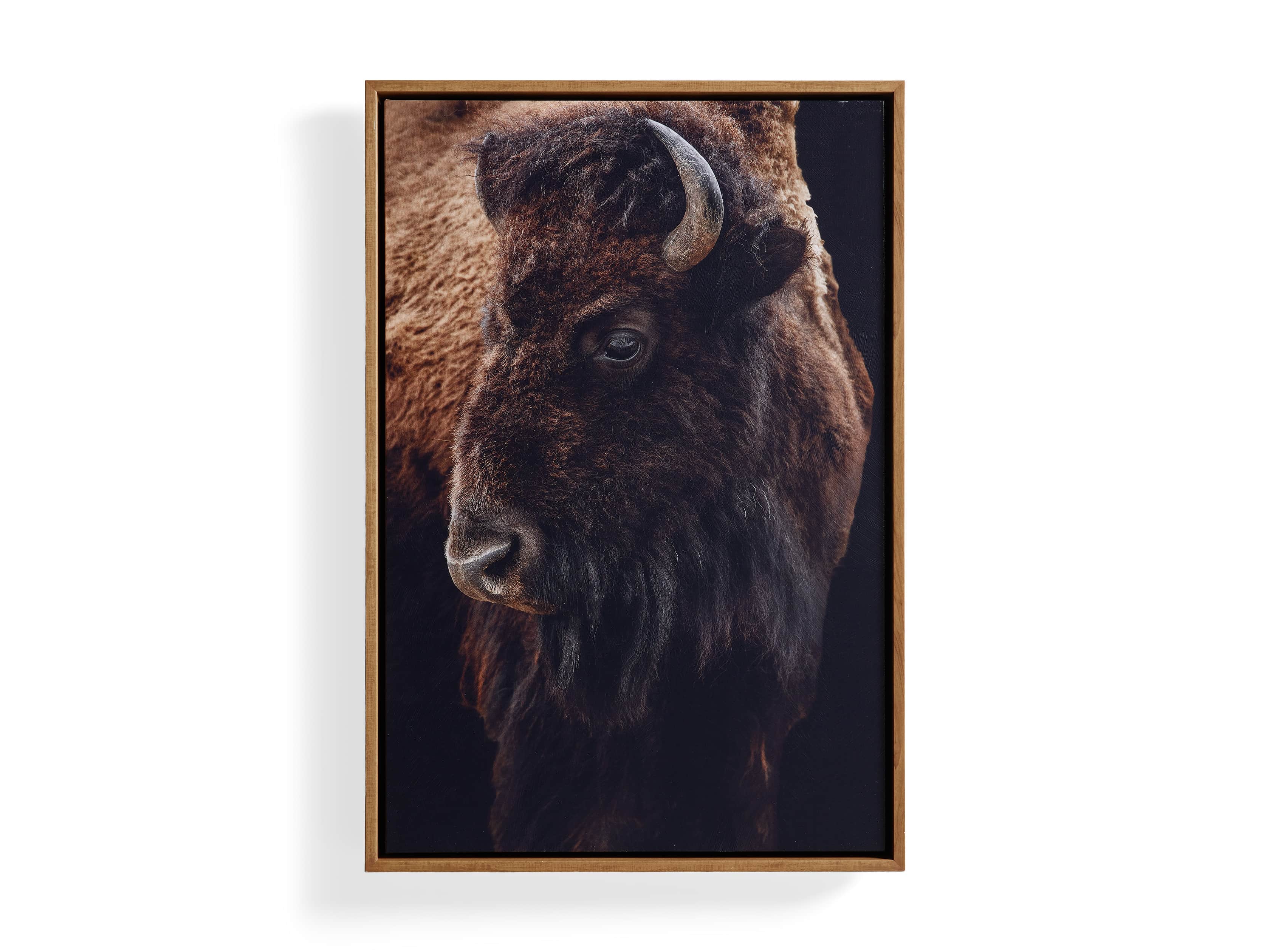 Bison Plains Framed Print, slide 4 of 4