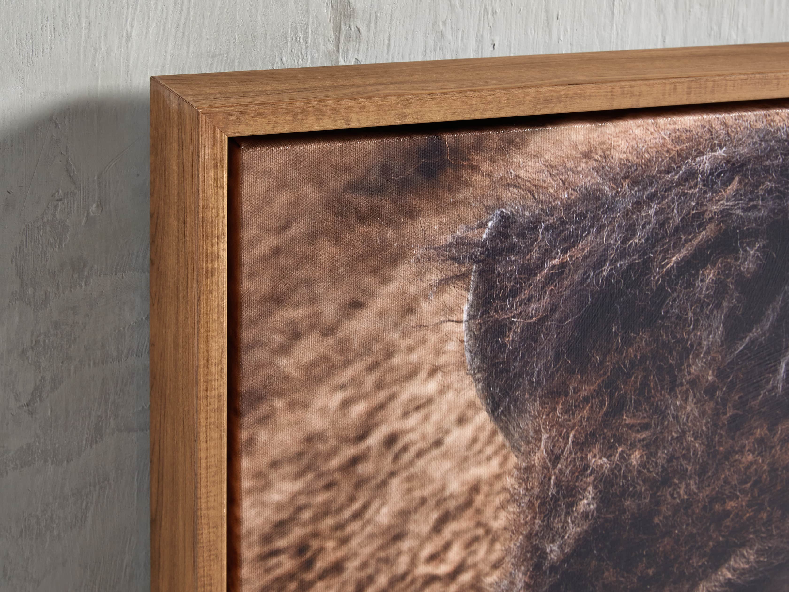 Bison Plains Framed Print, slide 2 of 4