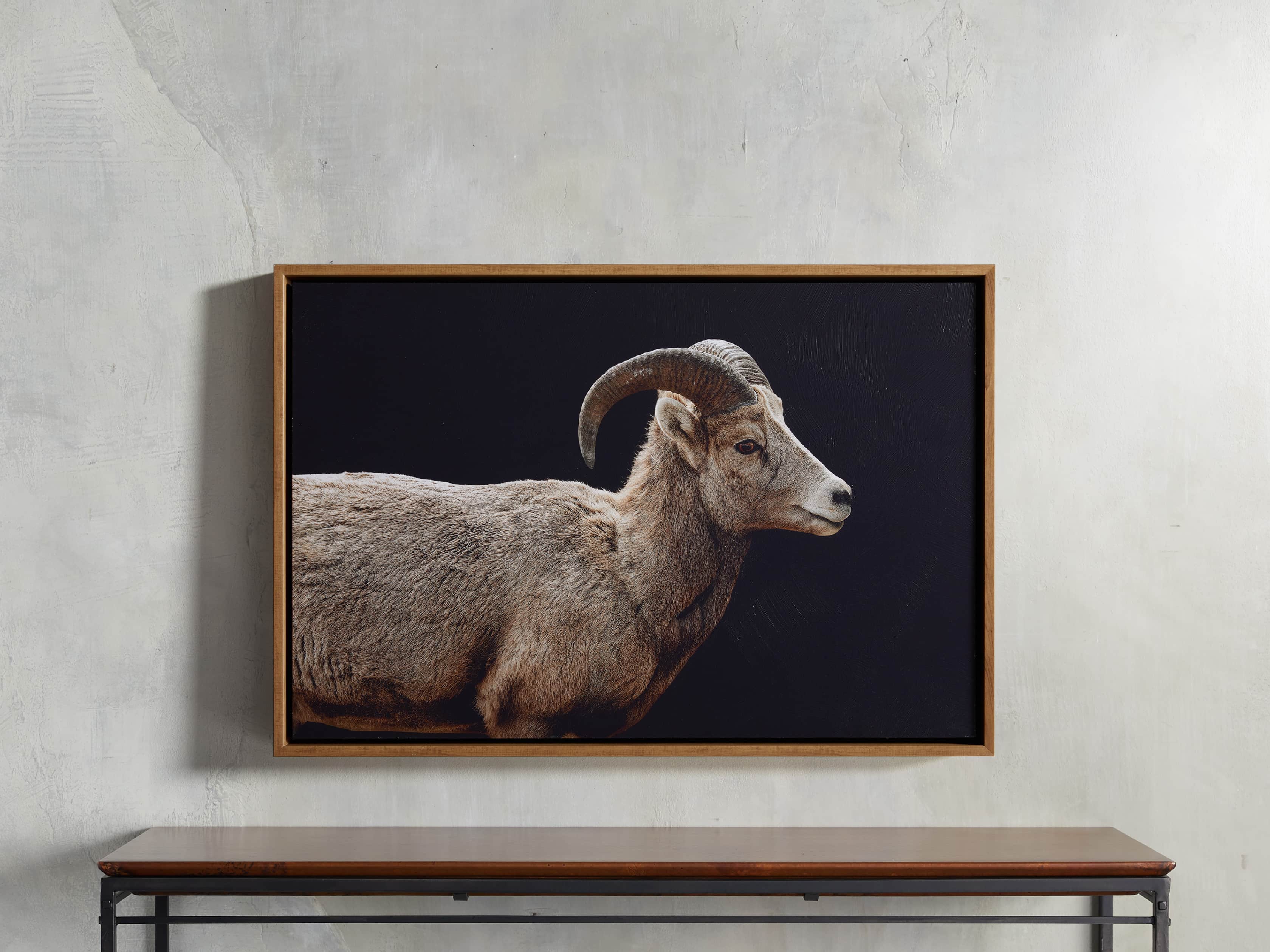 Ram Framed Print, slide 1 of 4