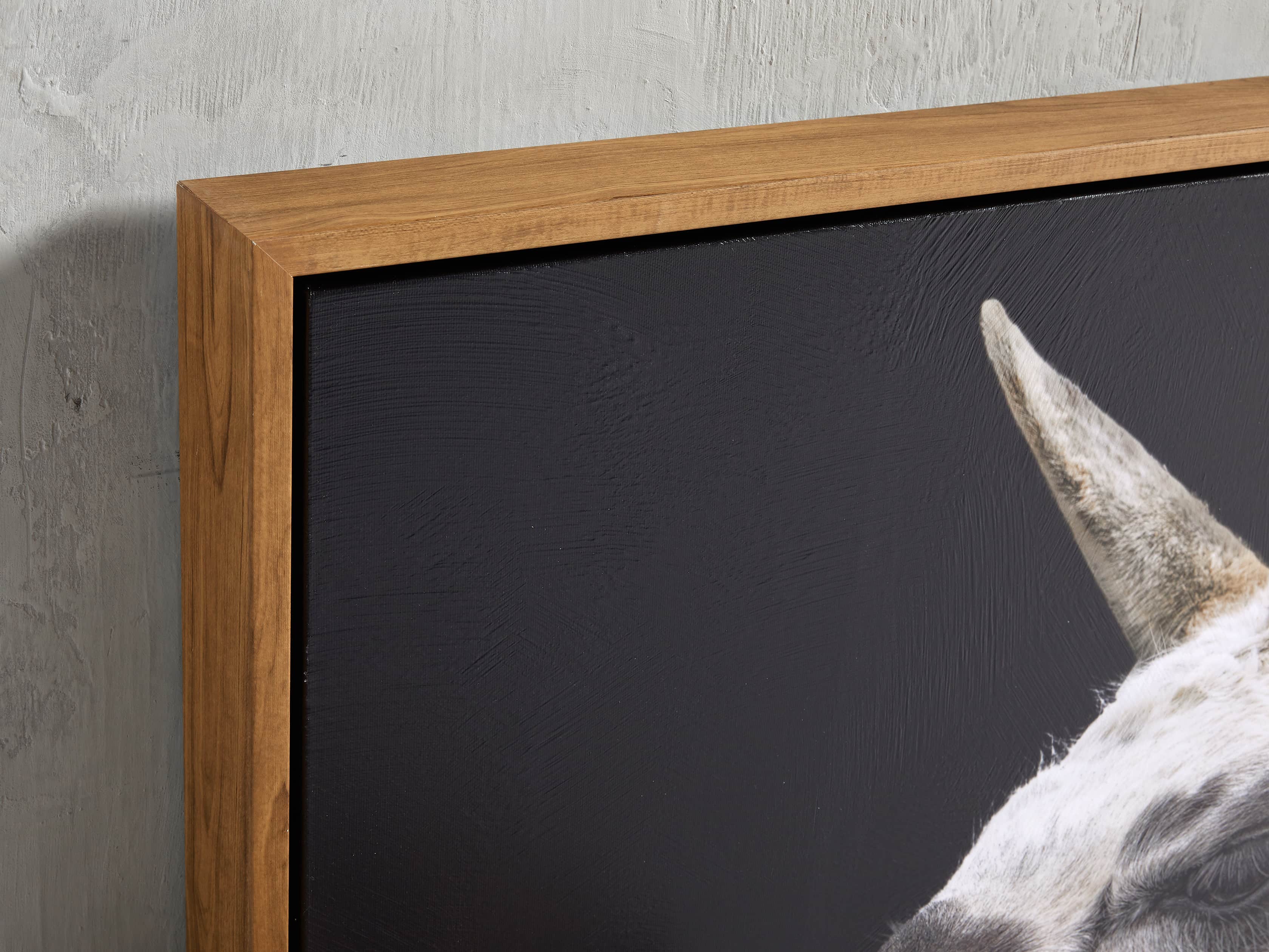 Guanaco Framed Print, slide 2 of 3