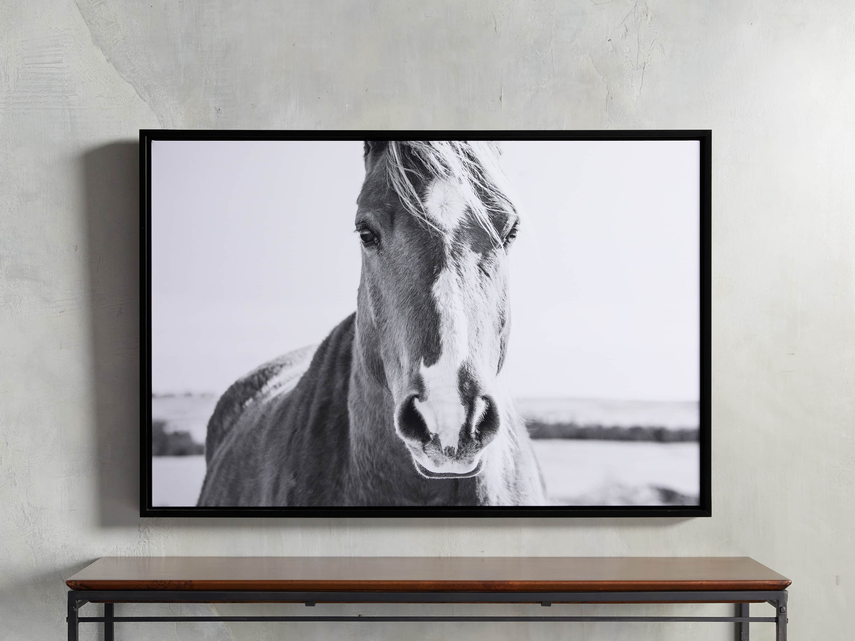 Caballo Framed Print, slide 1 of 3